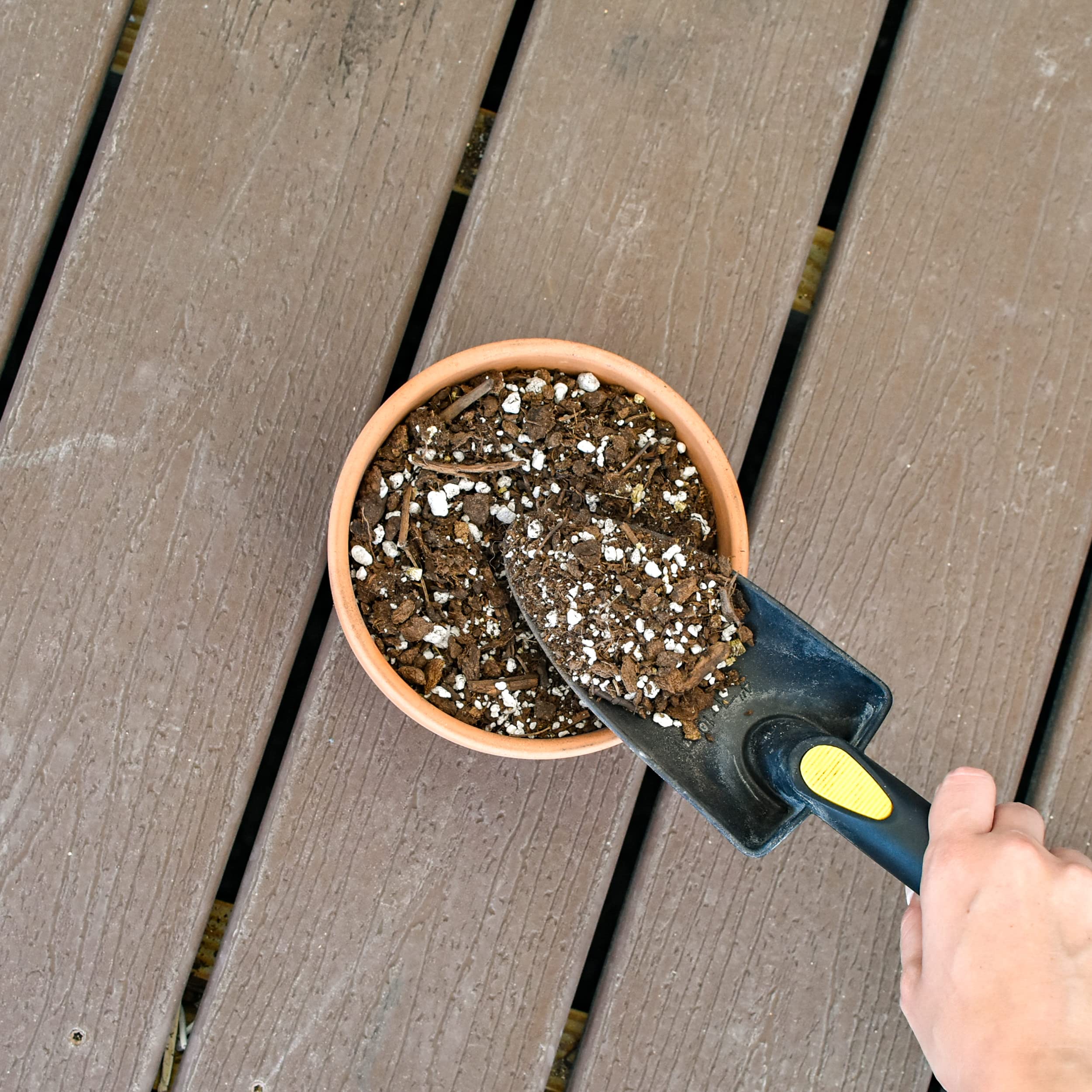 Citrus Tree Potting Soil Mix (8 Quarts), Special Blend For Indoor Oranges, Lemons, Limes And More
