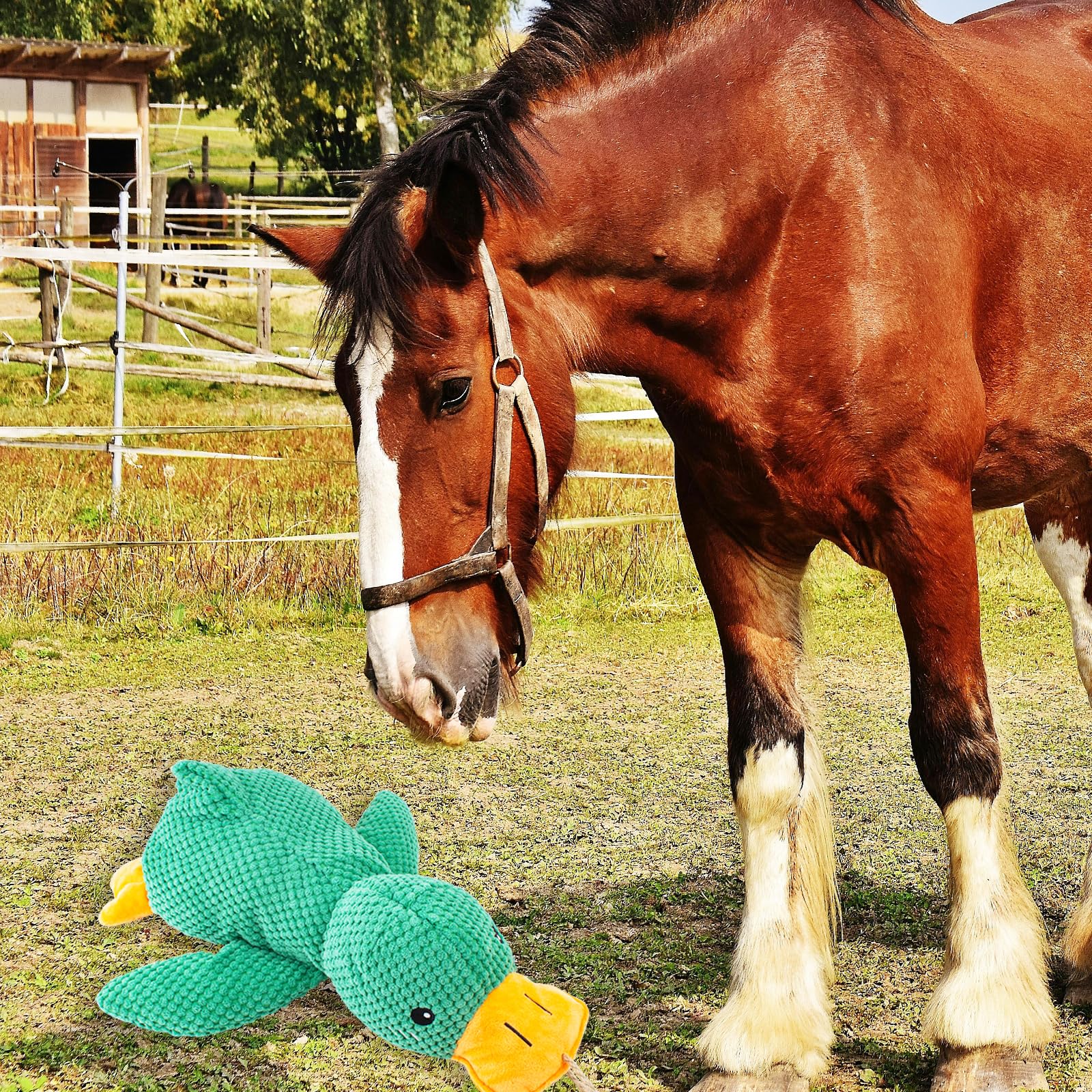 Ooxyg Horse Toys Squeaky Squeeze Plush Duck, Interactive Squeaky Duck Toy For Horses To Play With, Hanging Plush Enrichment Toys