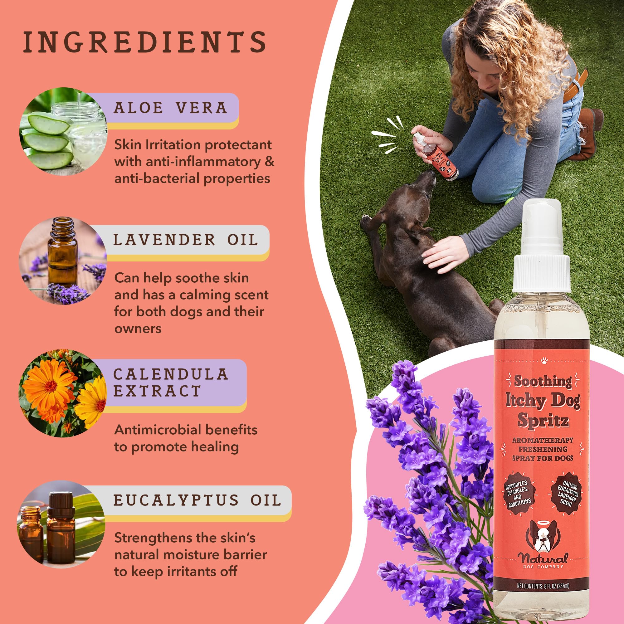 Natural Dog Company Dog Spray Deodorizer Perfume - Itchy Dog Spritz: Ideal Paired With Itchy Dog Shampoo, Long Lasting Dog Perfume, 8 Oz Bottle