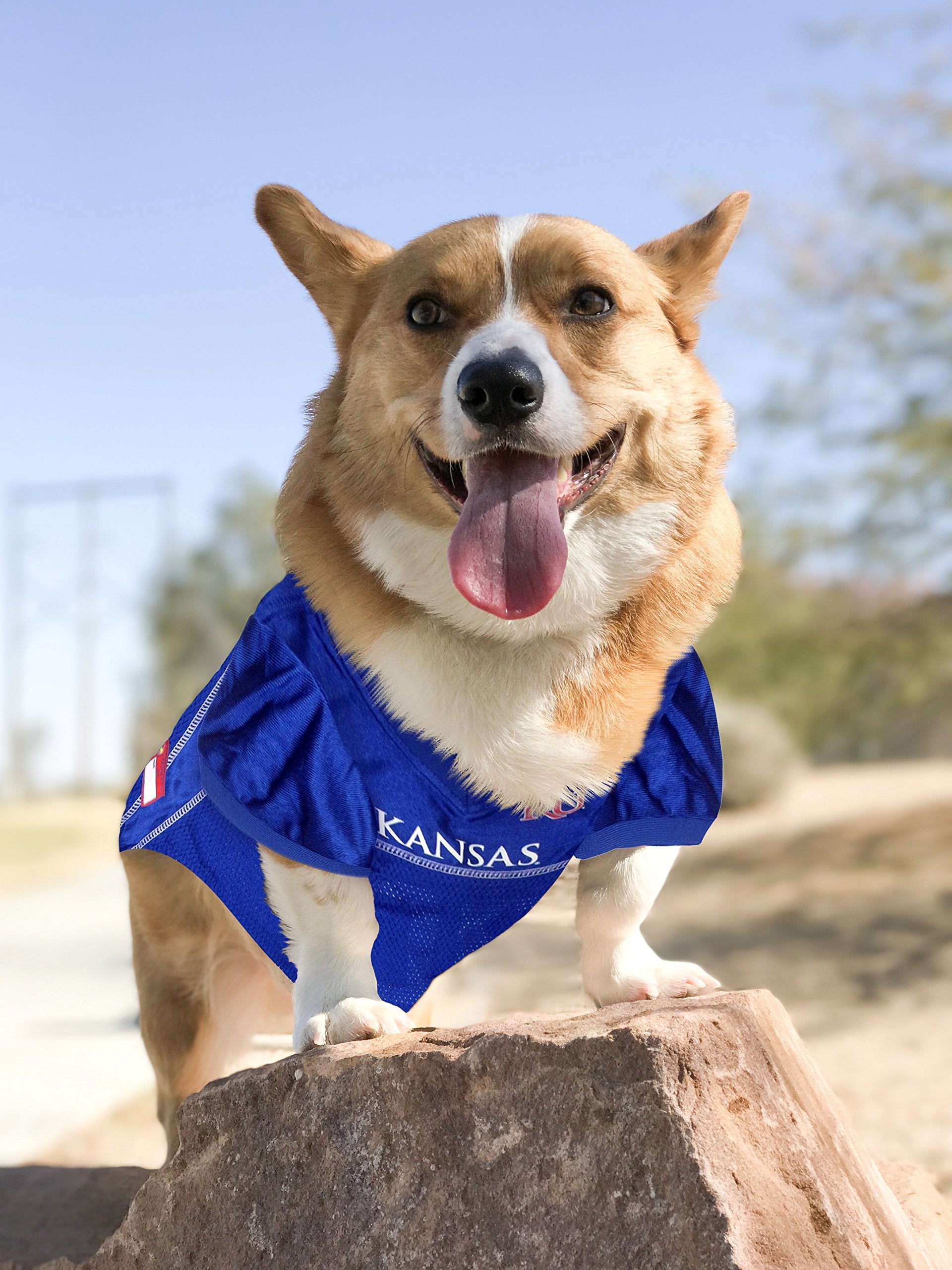Pets First NCAA College Kansas Jayhawks Mesh Jersey for DOGS & CATS, XX-Large. Licensed Dog Jersey with your Favorite Football/B