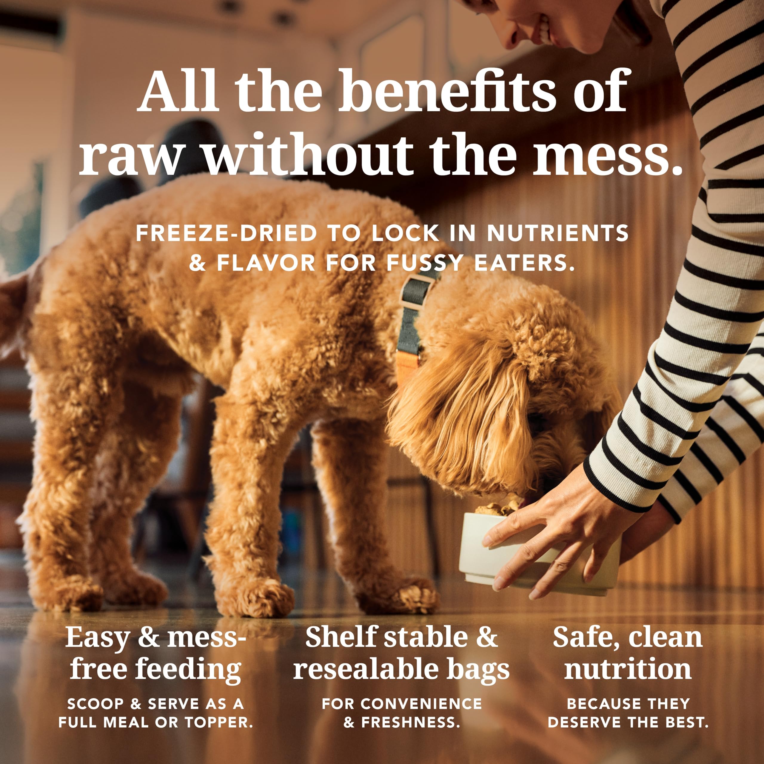 K9 Natural Grain-Free Freeze-Dried Dog Food, New Zealand Beef & Hoki Feast 8lb