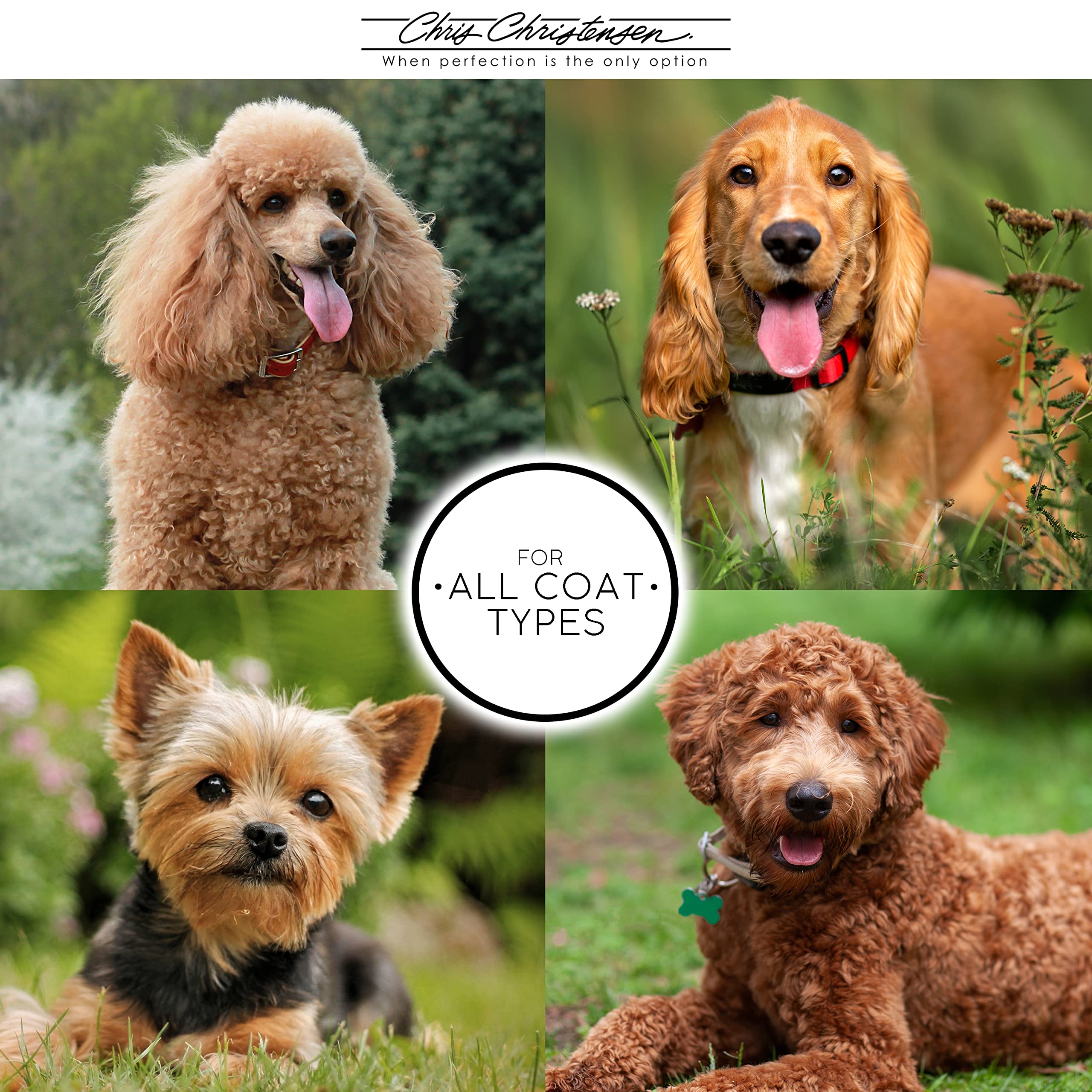 Chris Christensen Ice On Ice Strengthening Dog Shampoo, Groom Like Professional, Revives Dry, Damaged Coats & Strands, All Coat Types Made In Usa 16Oz