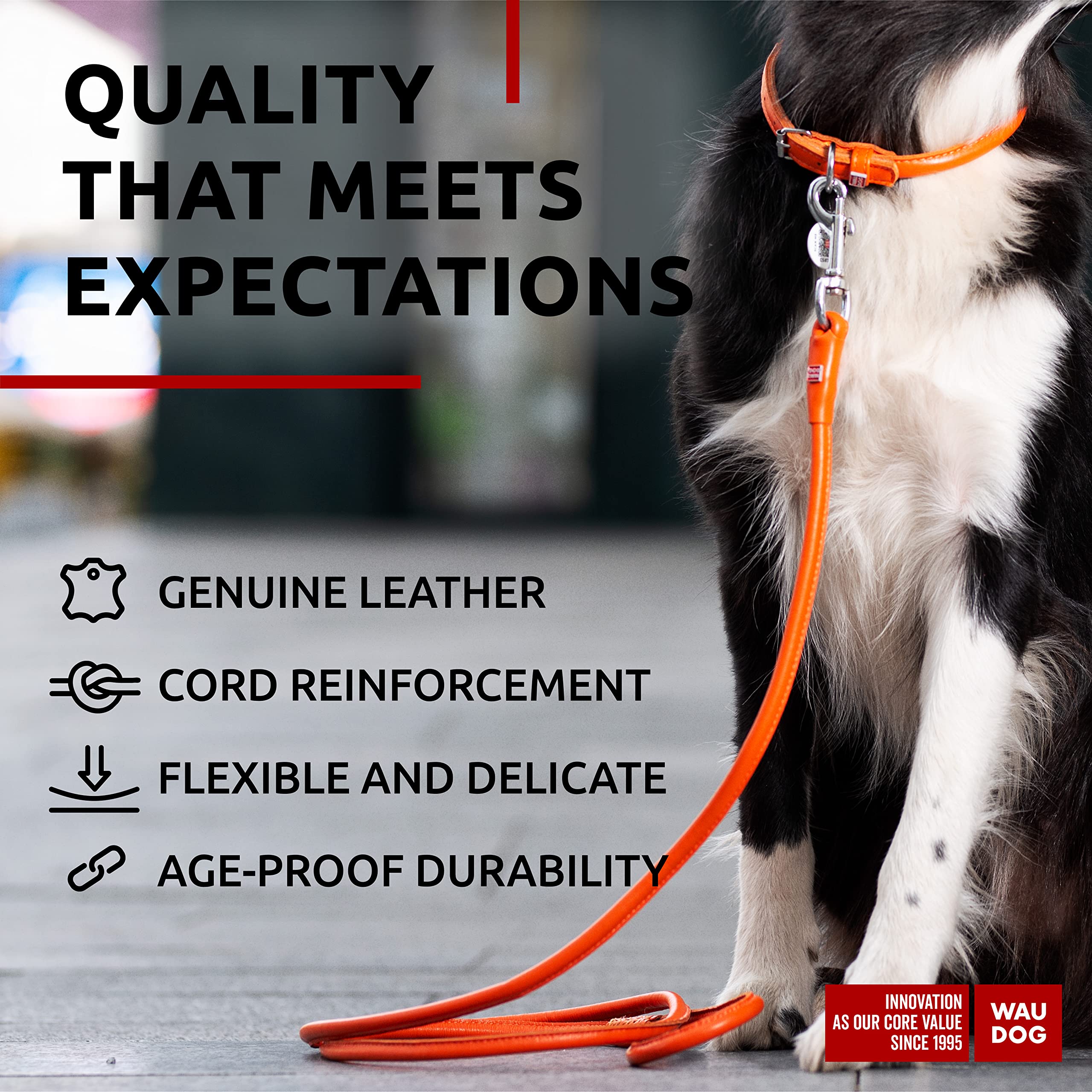 WAUDOG Heavy Duty Leather Dog Leash 4Ft x 0.4in for Small to Large Dogs - Orange