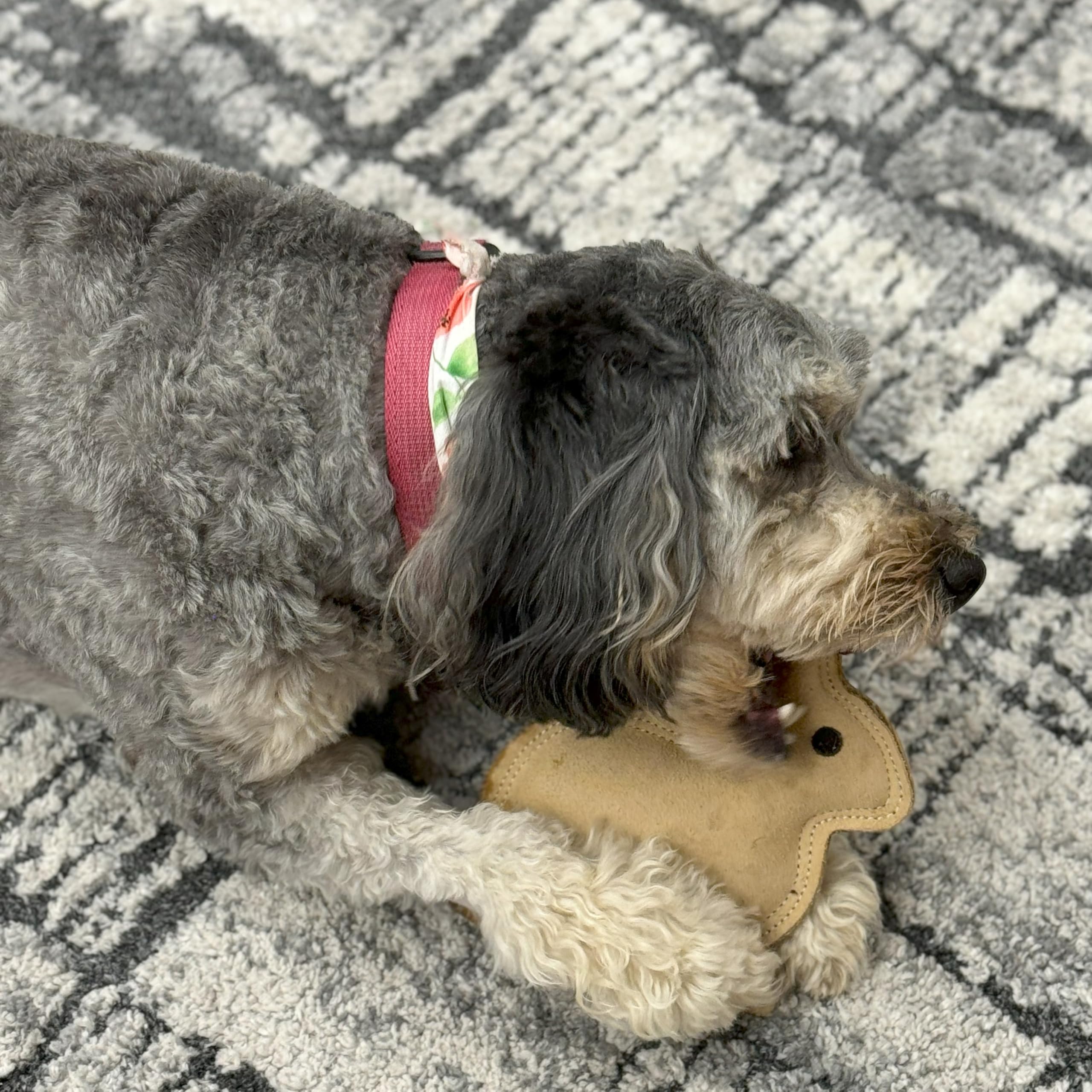 SPOT Dura-Fused Leather Rabbit - Durable Dog Toy with Squeaker, Real Leather & Jute Fabric, Interactive Toy for Moderate & Aggre