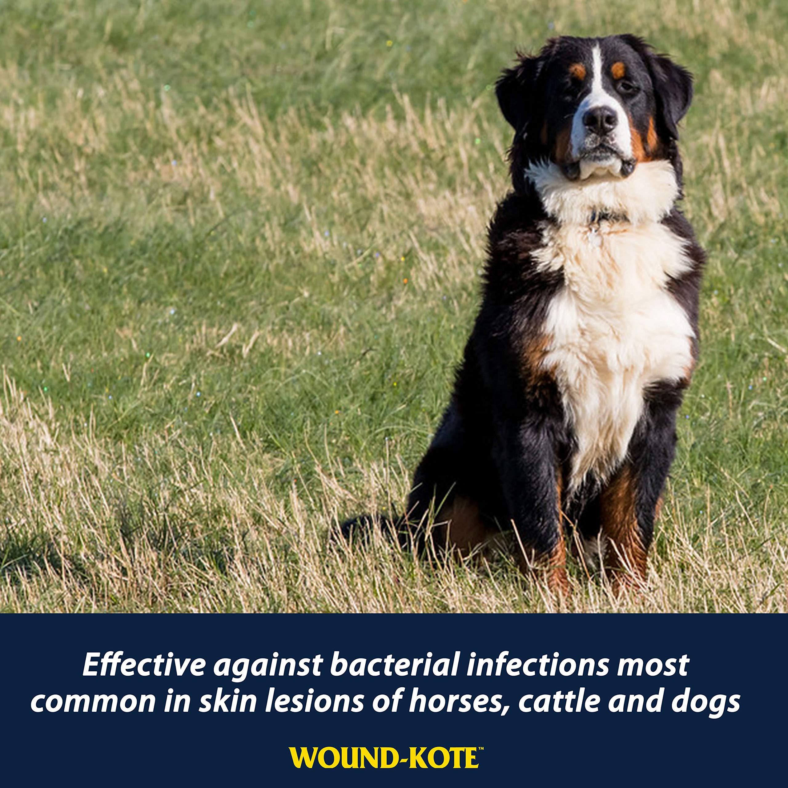 Farnam Wound-Kote Blue Lotion Spray Horse Wound Care for use on Horses and Dogs, Antiseptic Properties, for Minor Wounds, Cuts a