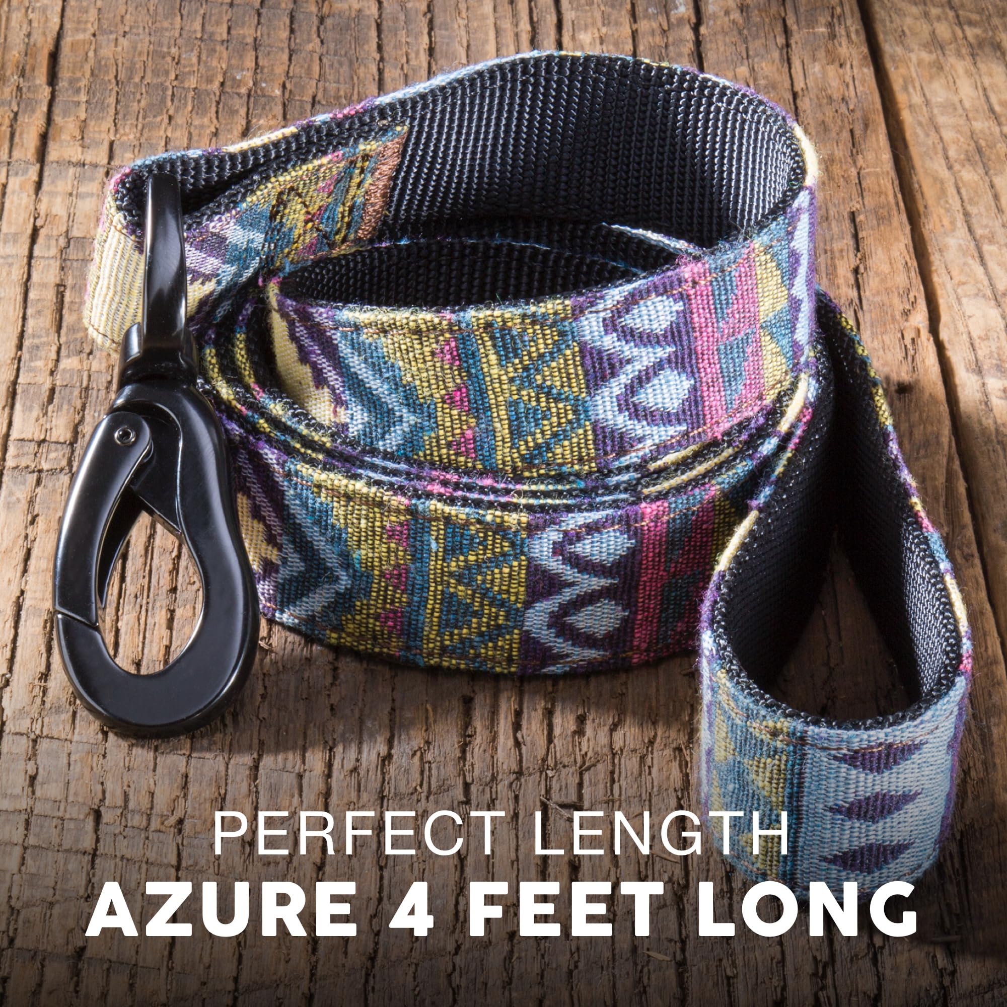 Embark Adventure Dog Leashes - Colorful, Strong And Sturdy Dog Leash For Small, Medium And Large Breed Dogs (Azure, 4 Ft)