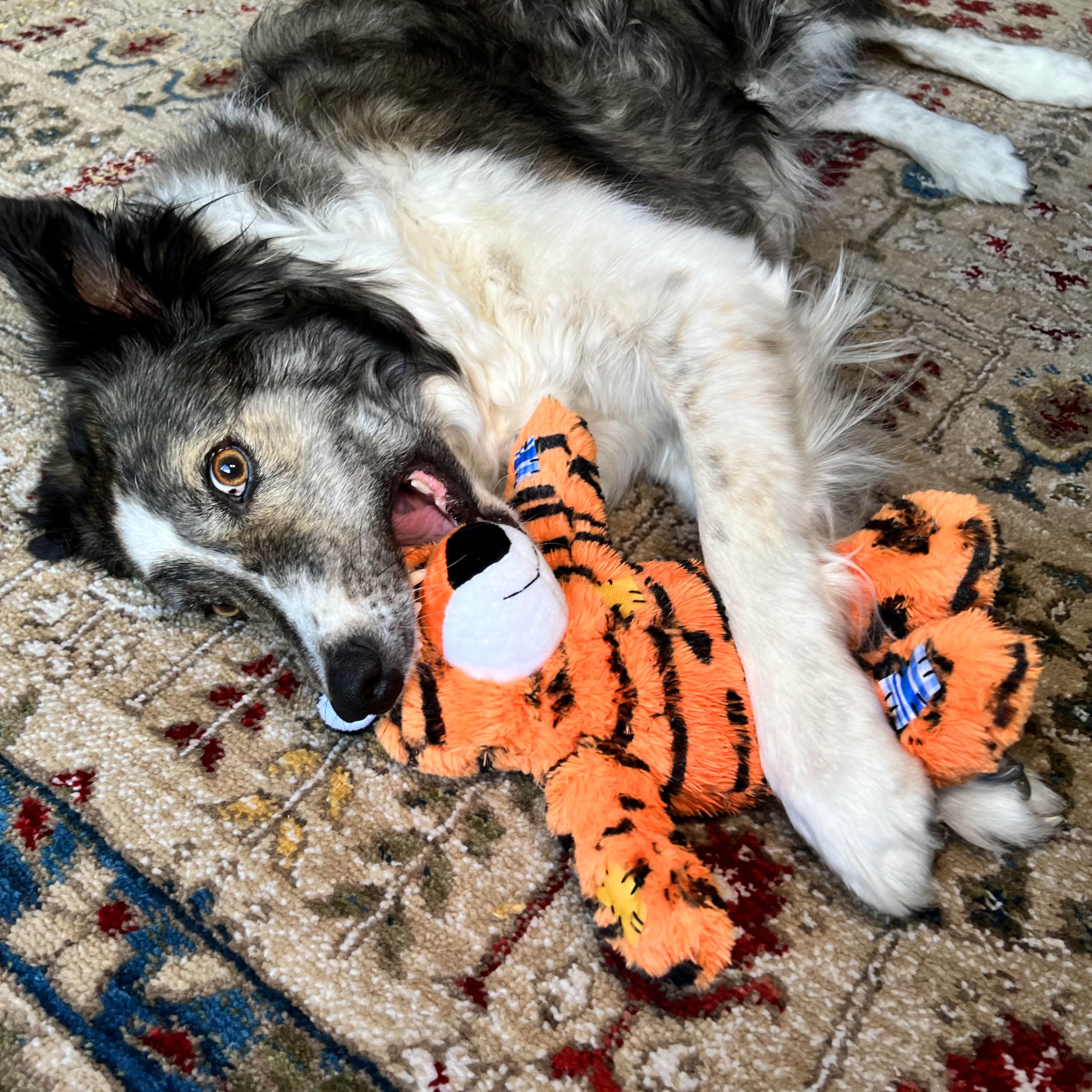 KONG Wild Knots Tiger Dog Toy - Durable Knotted Ropes Inside, Minimal Stuffing for Less Mess - Soft & Strong Chew Toy for Dogs (