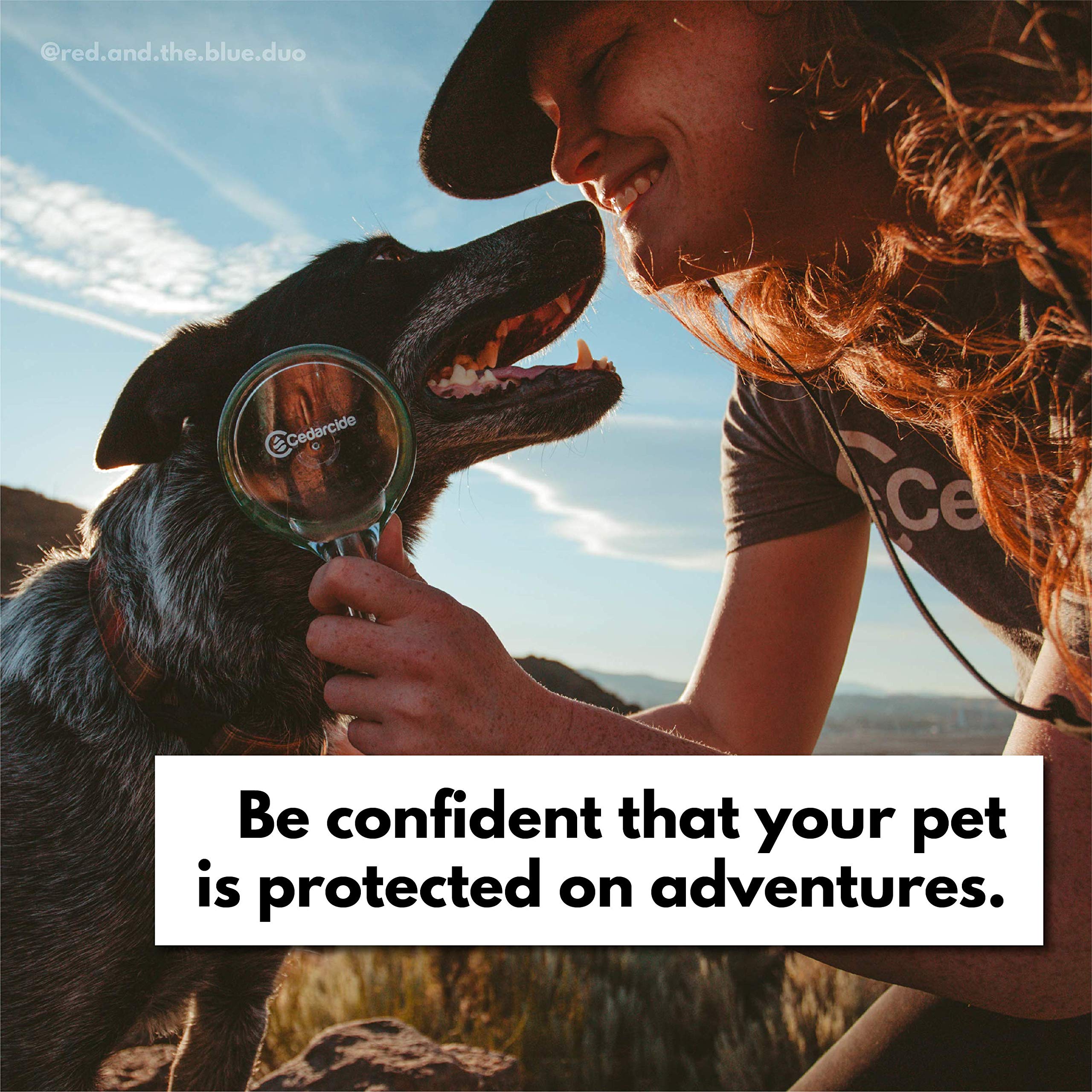 Cedarcide Flea + Tick Pet Brush (4 oz Pack) | Durable Grooming Brush Effectively Applies Cedarcide Original Biting Insect Spray