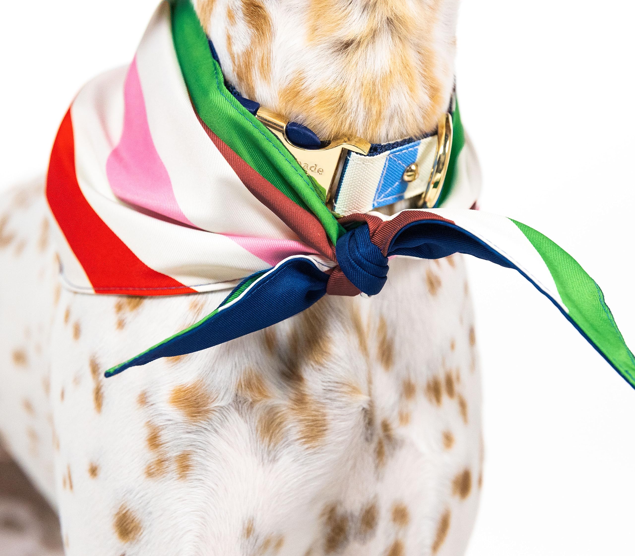 Kate Spade New York Pet Bandana For Boy Or Girl Dogs, Lightweight Bandana For Dog, Cute Dog Scarf For Medium Or Large Pets, Adve