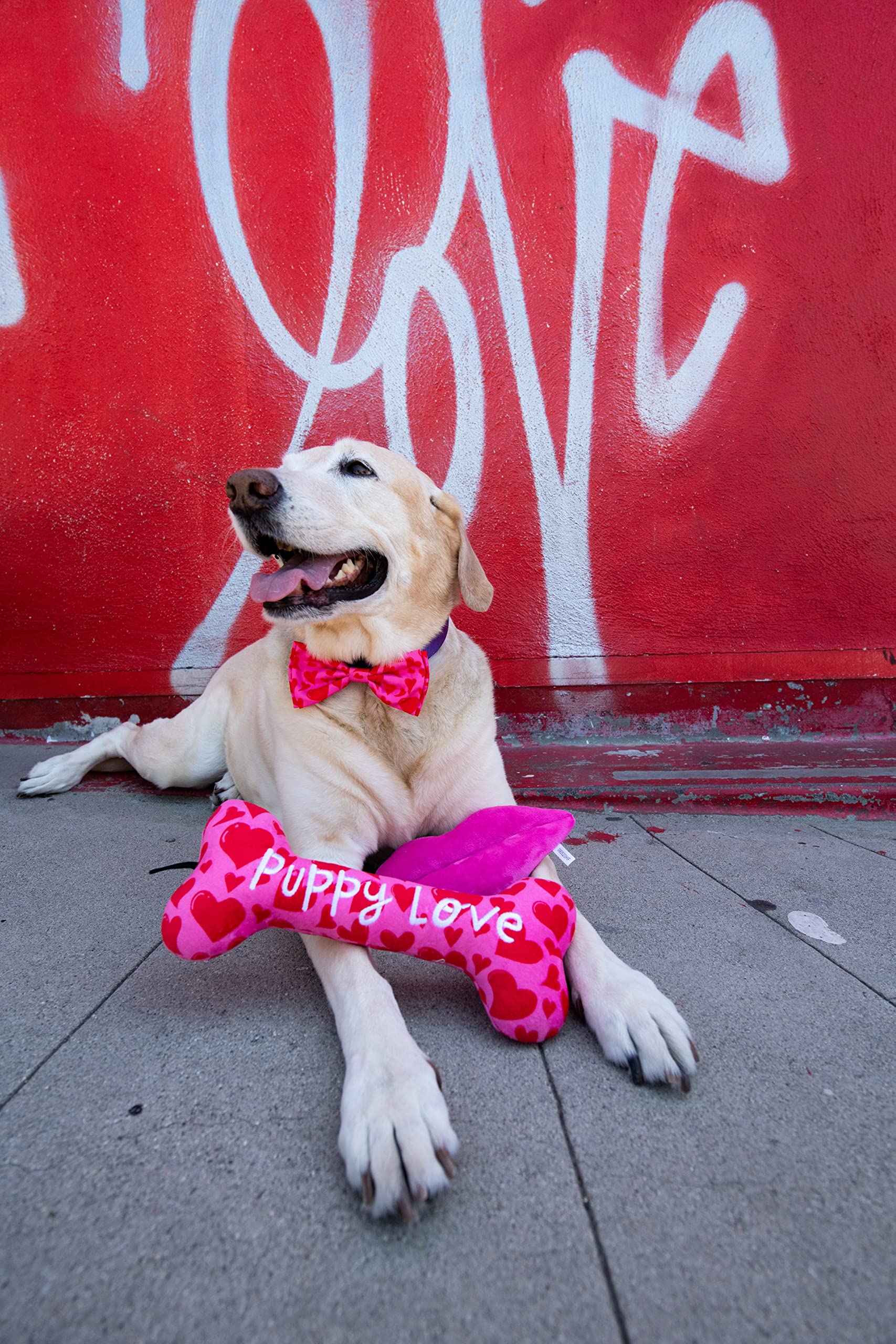 Huxley & Kent Bow Tie For Pets - My Puppy Love (Large) - Valentine'S Day Bow Tie Collar Attachment - Fun Bow Ties For Dogs & Cat