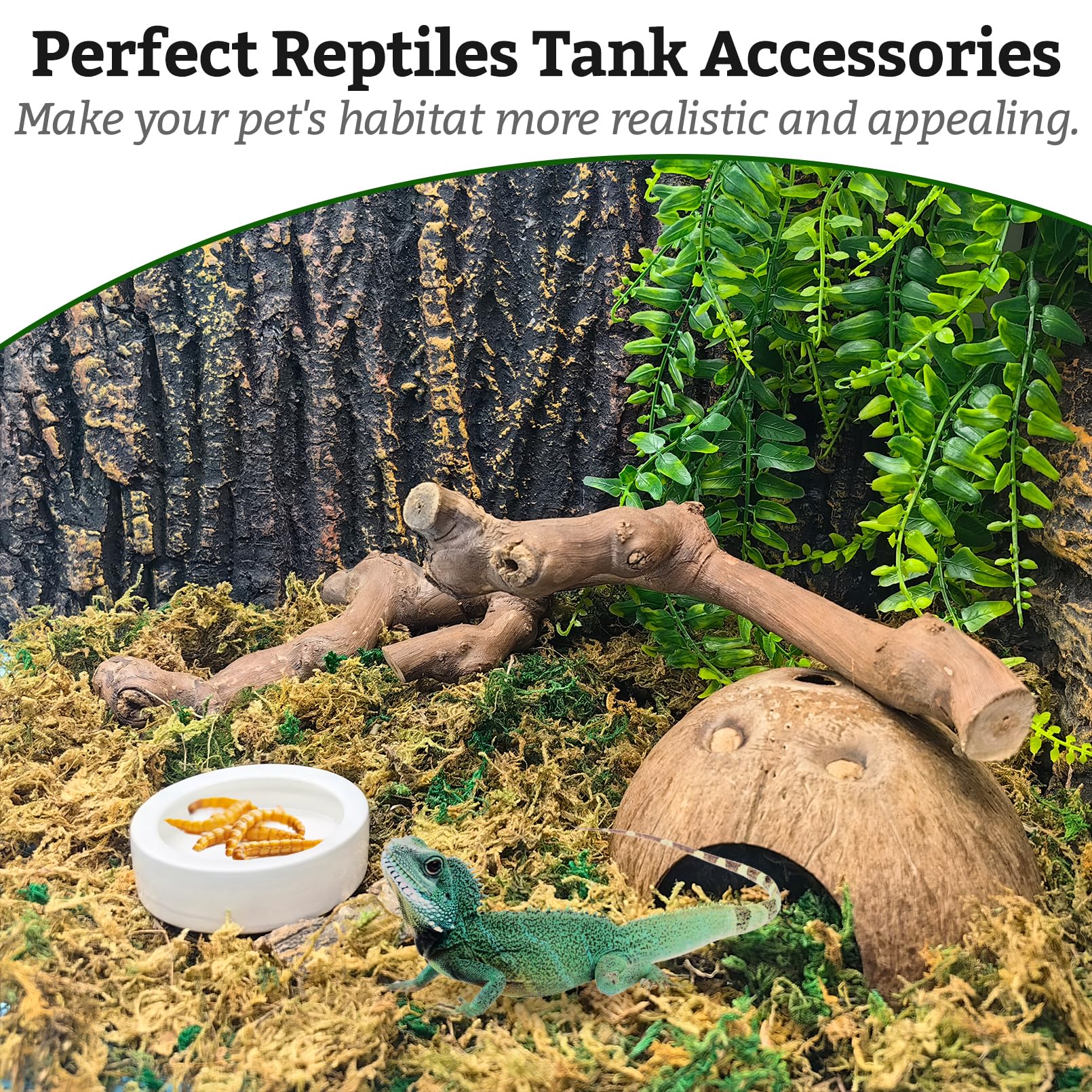 VCEPJH Snake Climbing Branch, 2Pcs Reptile Wood Natural Cork Log Tank Accessories Tree Trunk for Chameleon Bearded Dragon Gecko