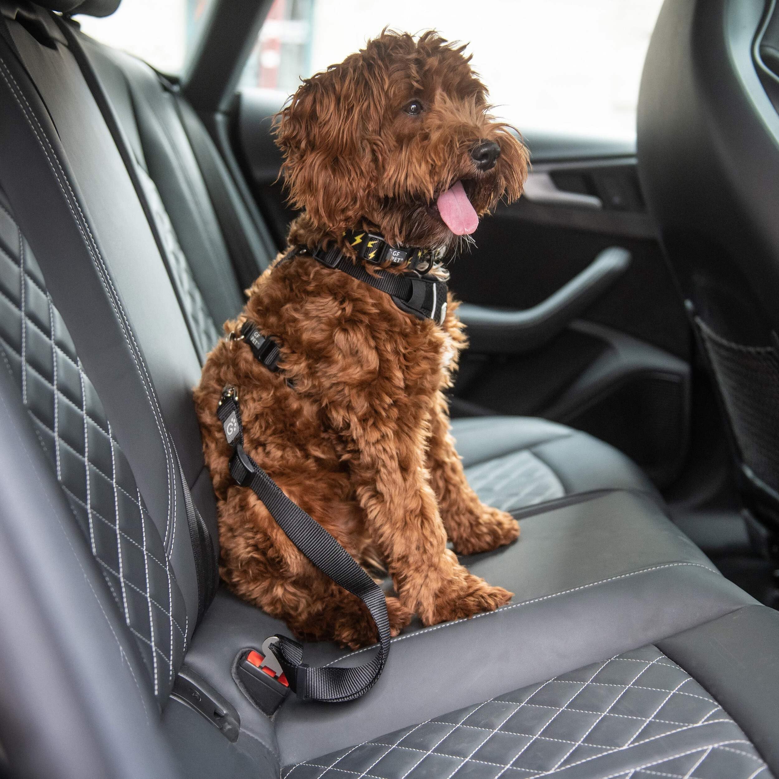 Gf Pet Seat Belt Tether For Dogs