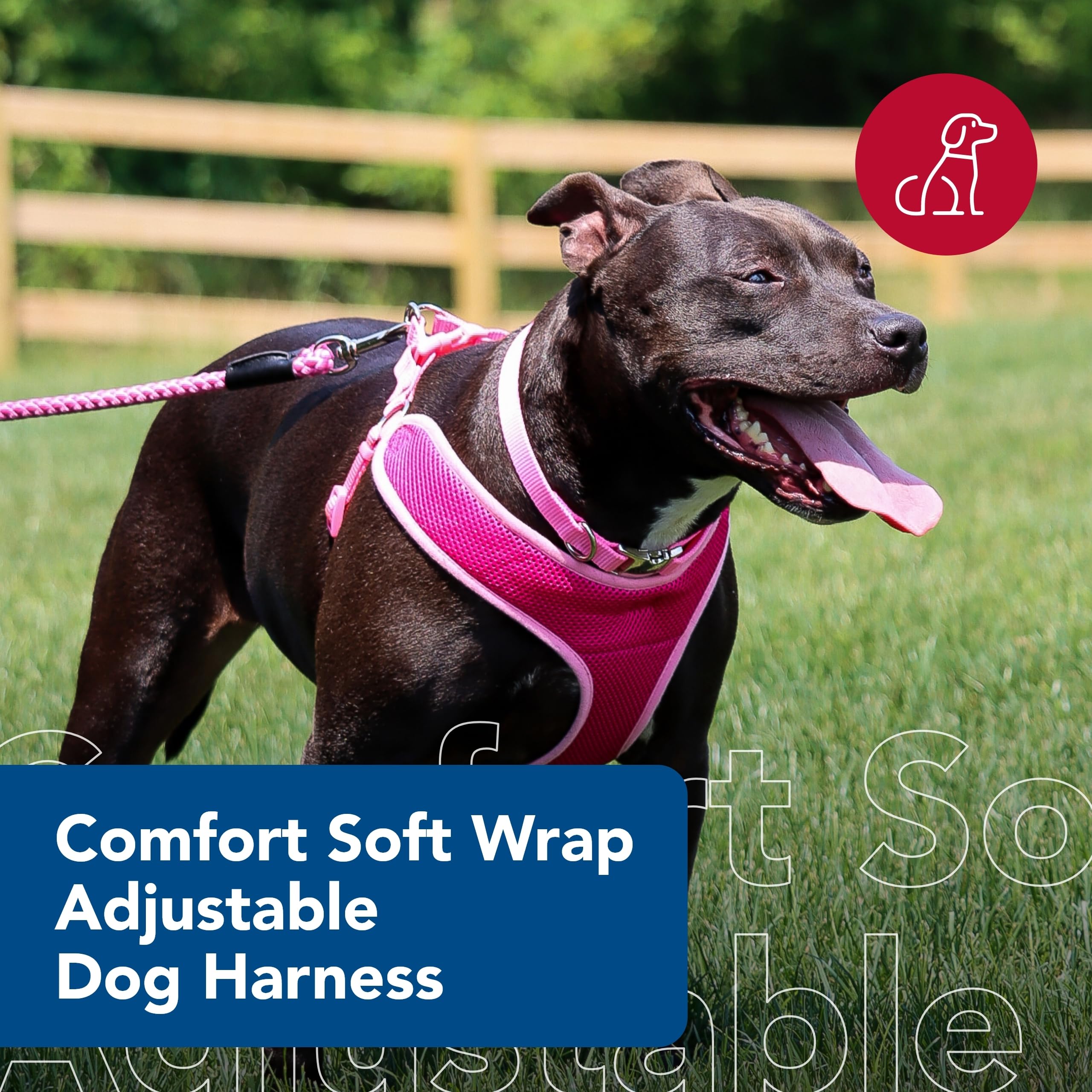 Coastal Pet Comfort Soft Wrap Adjustable Dog Harness - Comfortable Harness For Dog - Adjustable Fit - Easy Step-In Design - Breathable Fabric Mesh - Orchid, 5/8' X 19'-23'