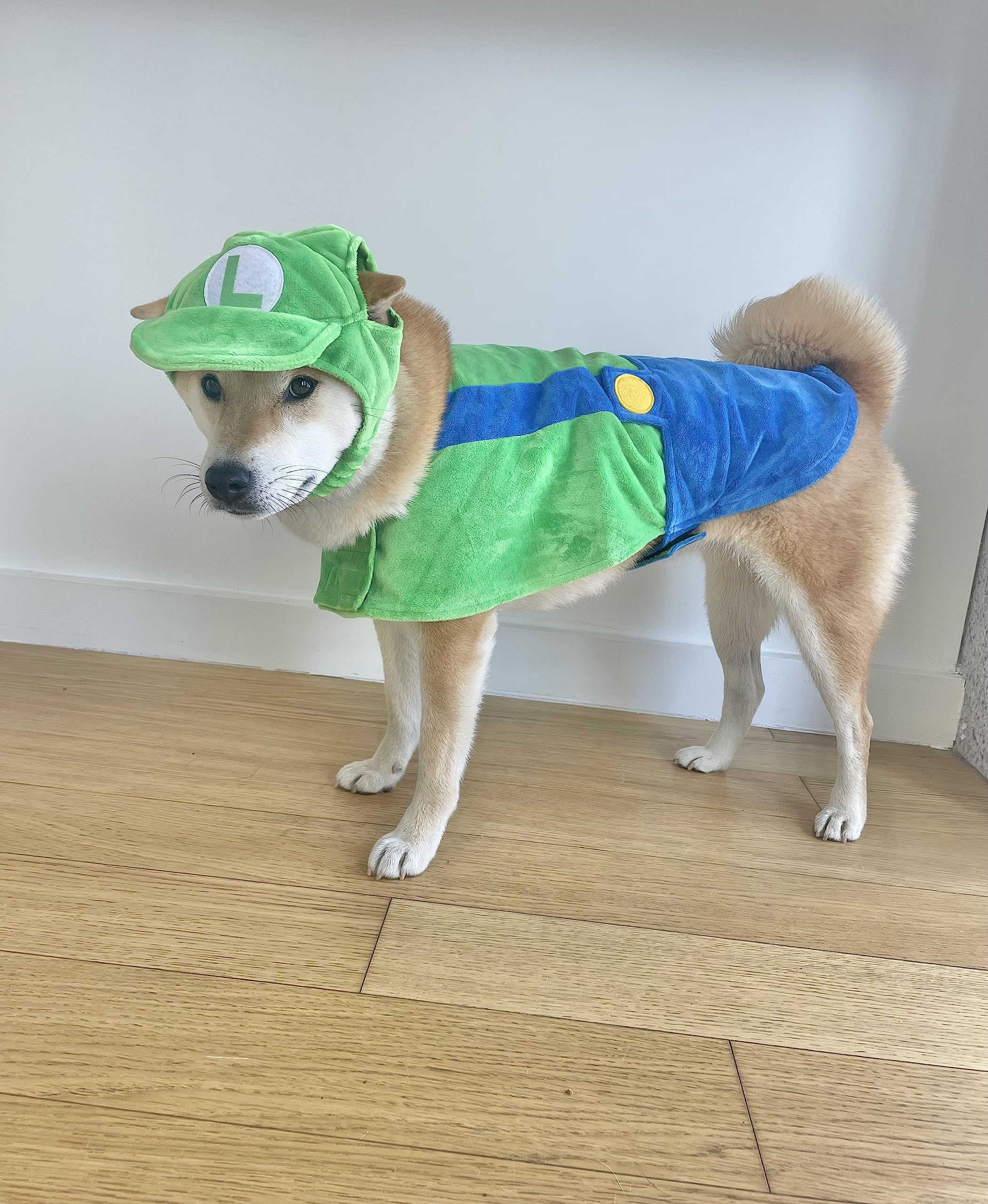 ComfyCamper Dog Costume - Hat & Suspenders, Large, Green, Polyester, X Large Medium Small Lab Star Space, Perfect for Halloween