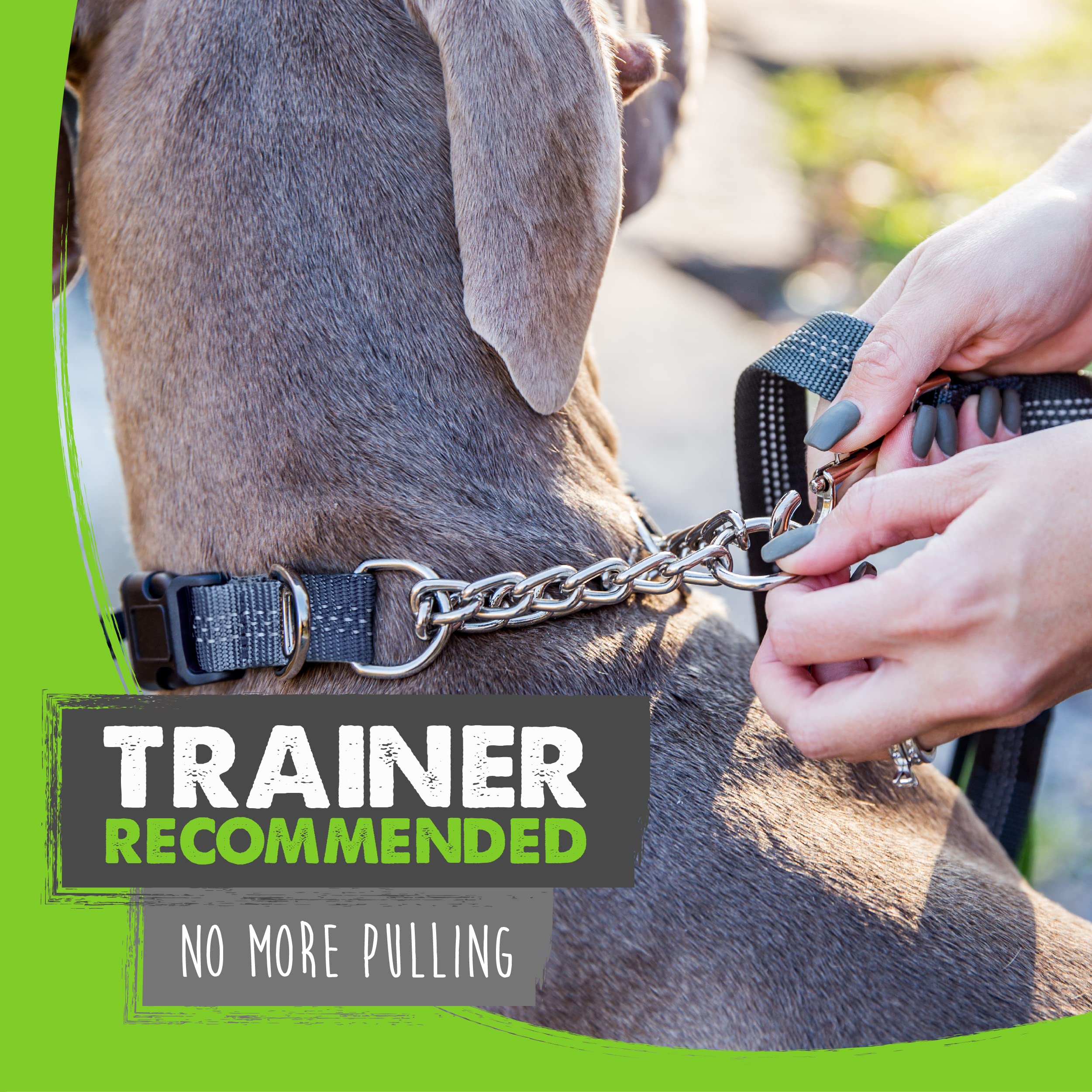 Mighty Paw Martingale Dog Collar 2.0 | Trainer Approved Limited Slip Collar With Stainless Steel Chain & Heavy Duty Buckle - Modified Cinch Collar For Gentle & Effective Pet Training - Large, Grey