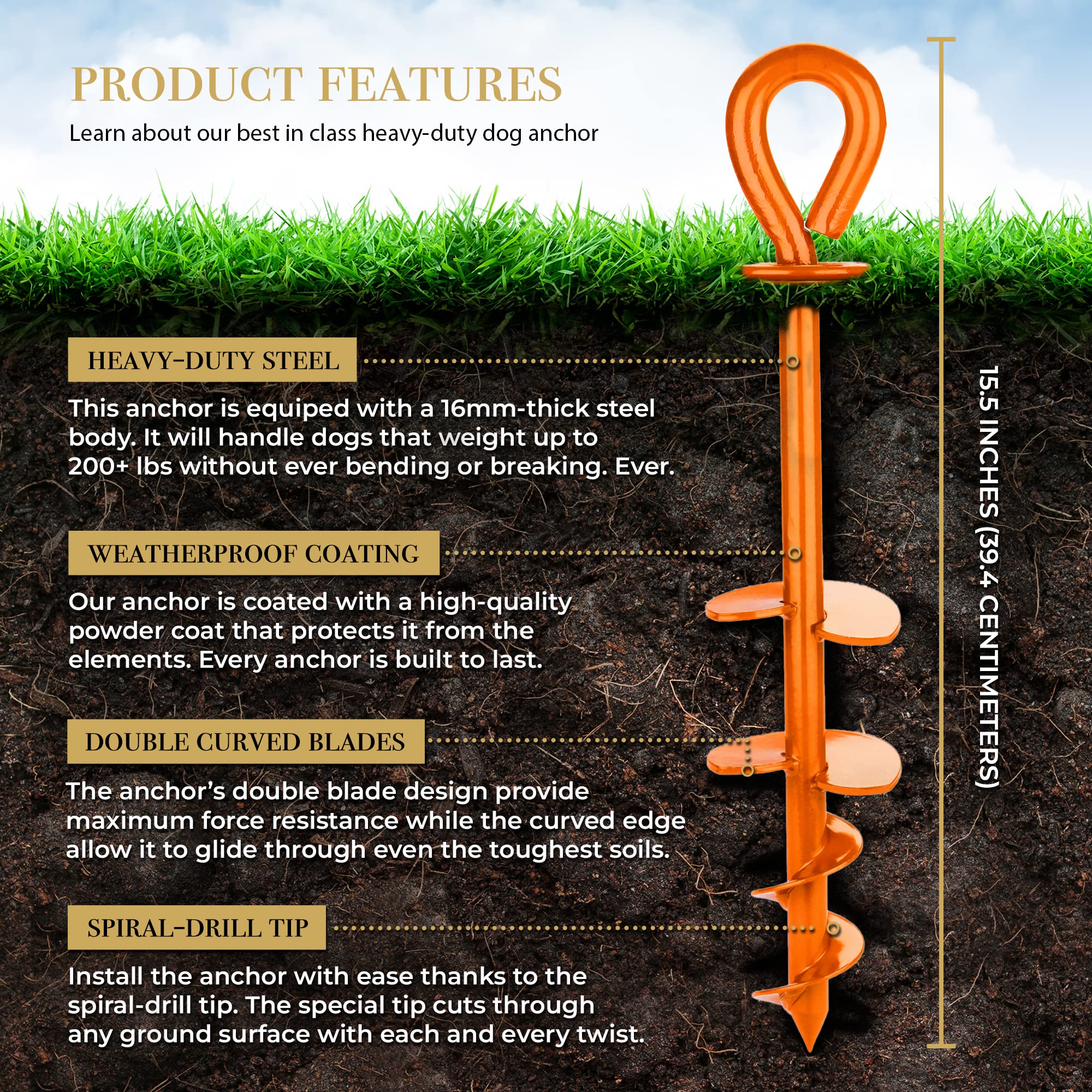 ROYAL PAW Dog Tie Out Stake - Heavy Duty Anchor for Large Dogs up to 210 lbs, Stainless Steel, O1-Royal Orange, Medium/Large/XL