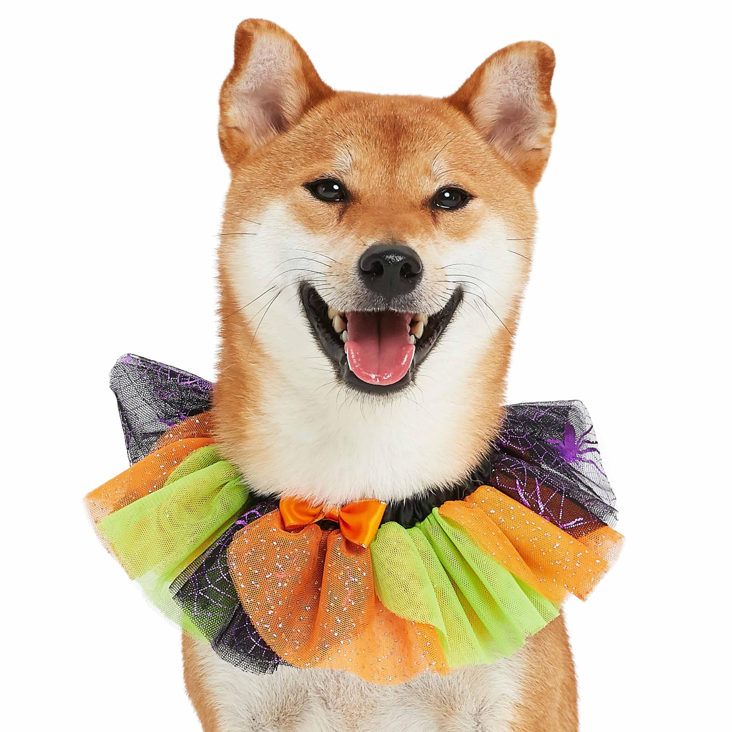 Blueberry Pet Halloween Party Adjustable Breakaway Costume Dog Collar In Cool Tone, Medium