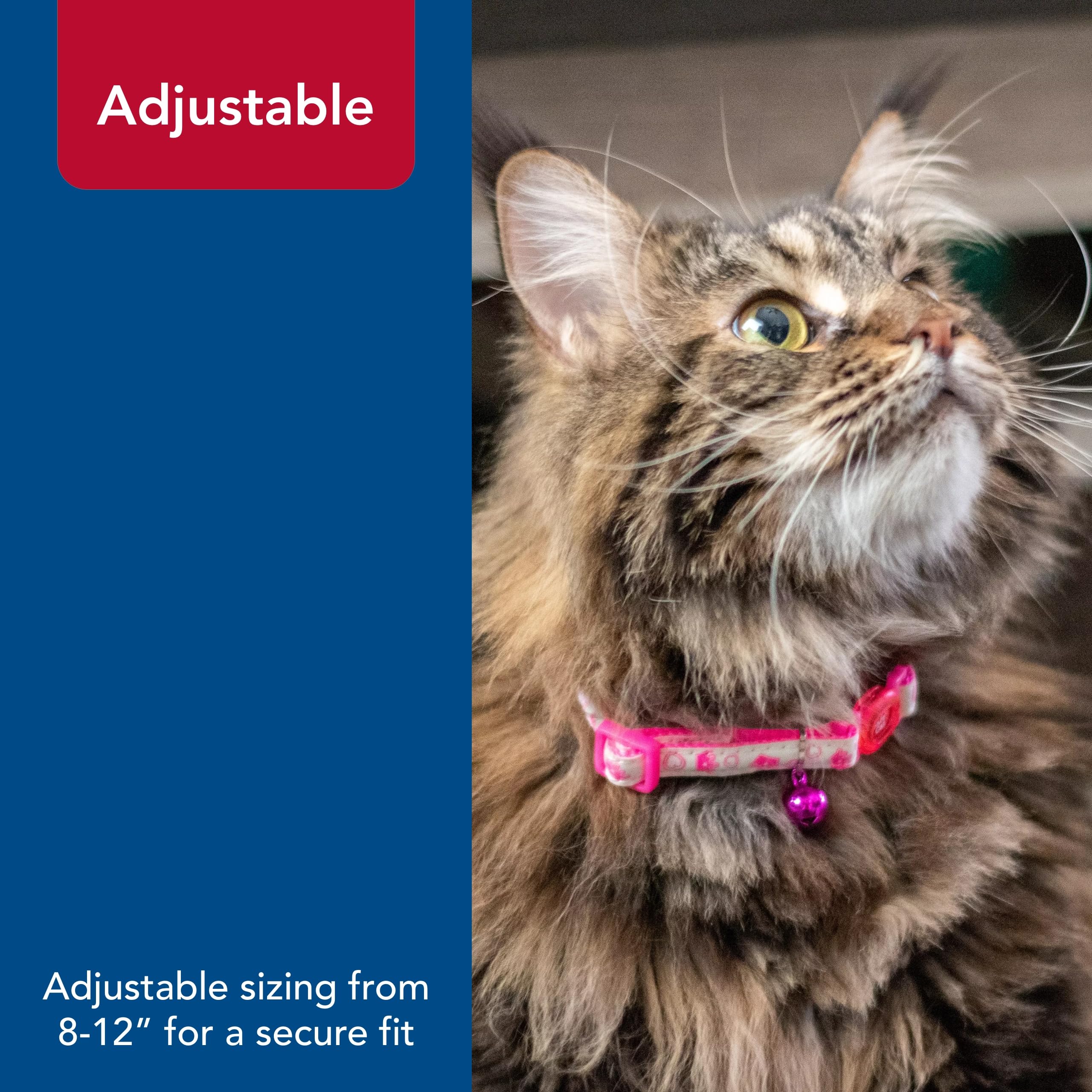 Coastal - Safe Cat Glow In The Dark Adjustable Breakaway Collar - Glowing Black Galaxy - 3/8'' X 8''-12''