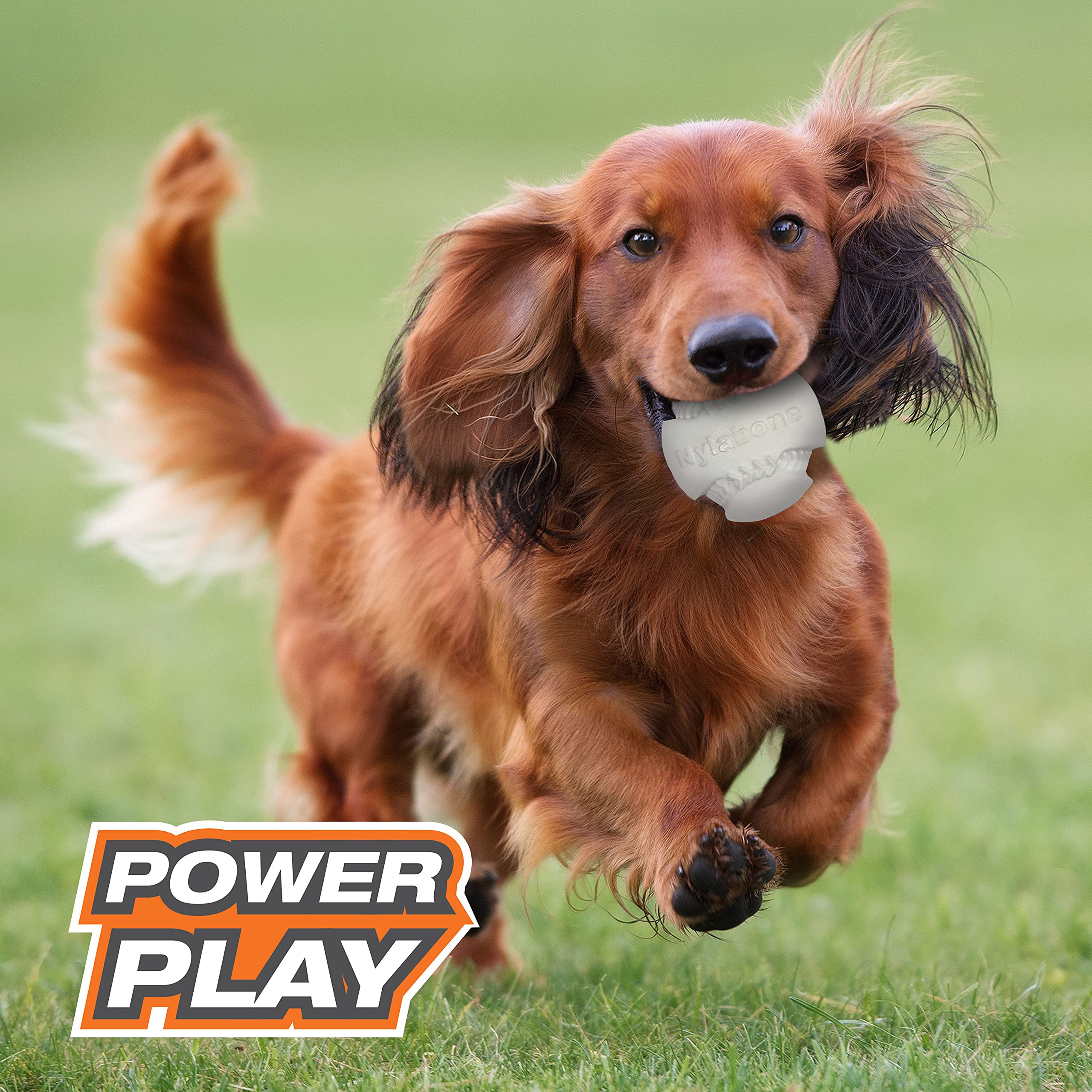 Nylabone Power Play Baseball Gripz Fetch Toy, Squeaky Ball Chew Toy For Dogs, Medium (1 Count)