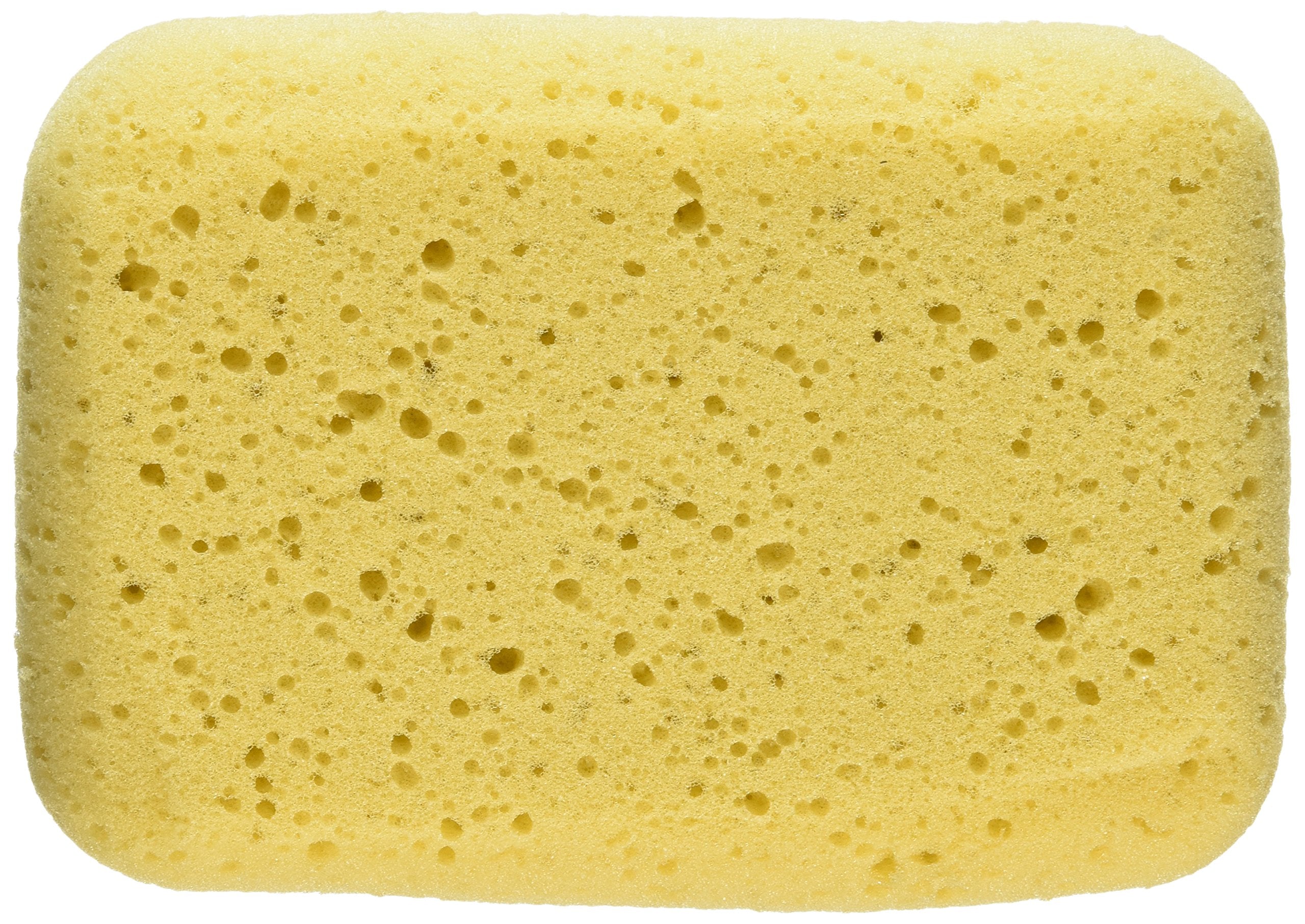 Decker 16Dbs Body Sponge For Dogs And Horses, Medium