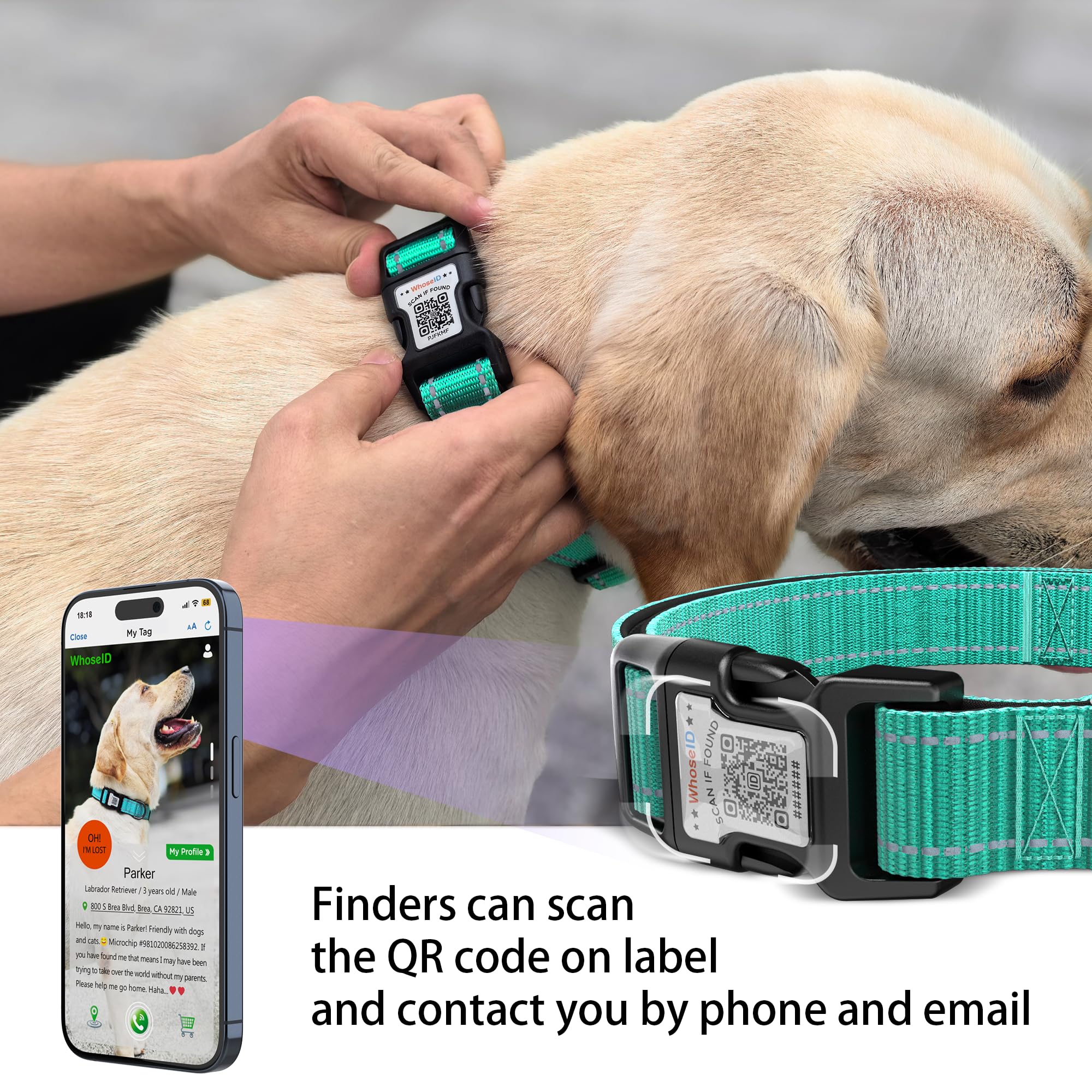 Airtag Dog Collar With Qr Code, Reflective And Soft Padded, Safety Locking Buckle, Adjustable For Small Dogs (S-With Airtag Hold