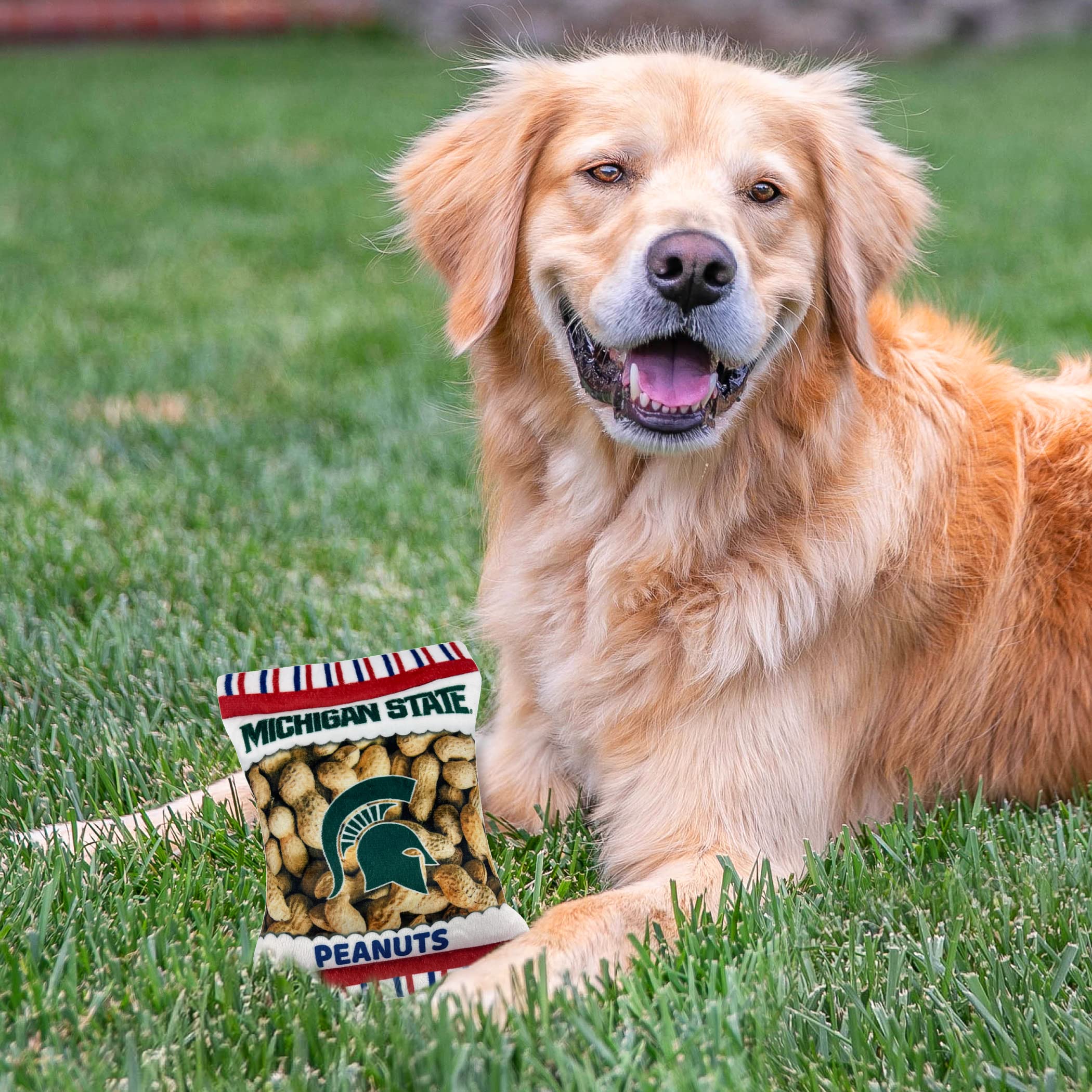 Pets First Ncaa Michigan State Spartans Crinkle Fine Plush Dog & Cat Squeak Toy- Cutest Stadium Peanuts Snack Toy For Dogs & Cat