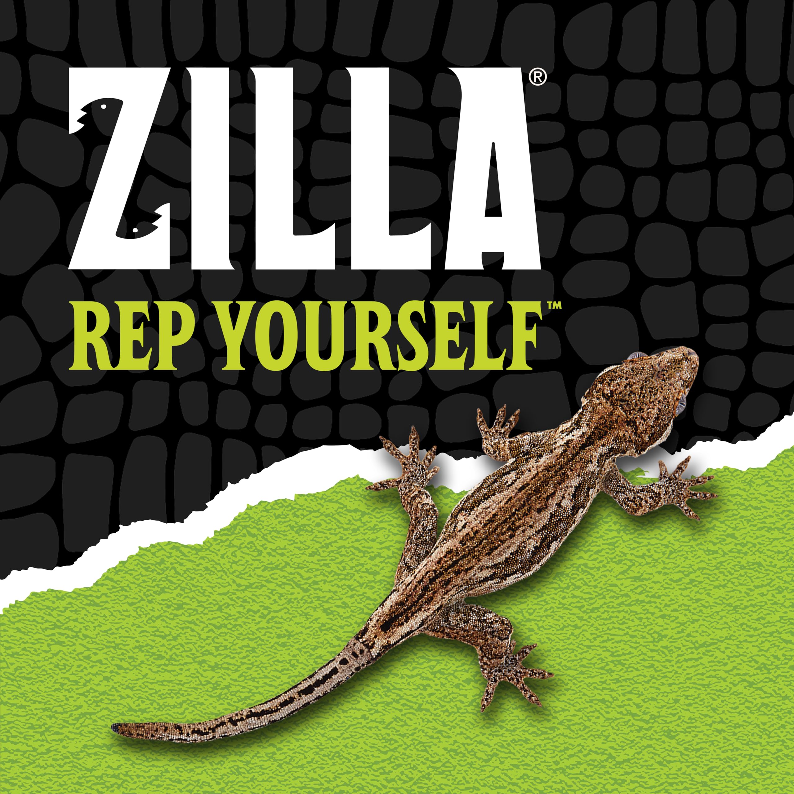 Zilla QuickBuild Reptile 10 Gallon Glass Terrarium Habitat with Bedding Tray For Geckos, Snakes, Lizards, Frogs, Turtles, and To