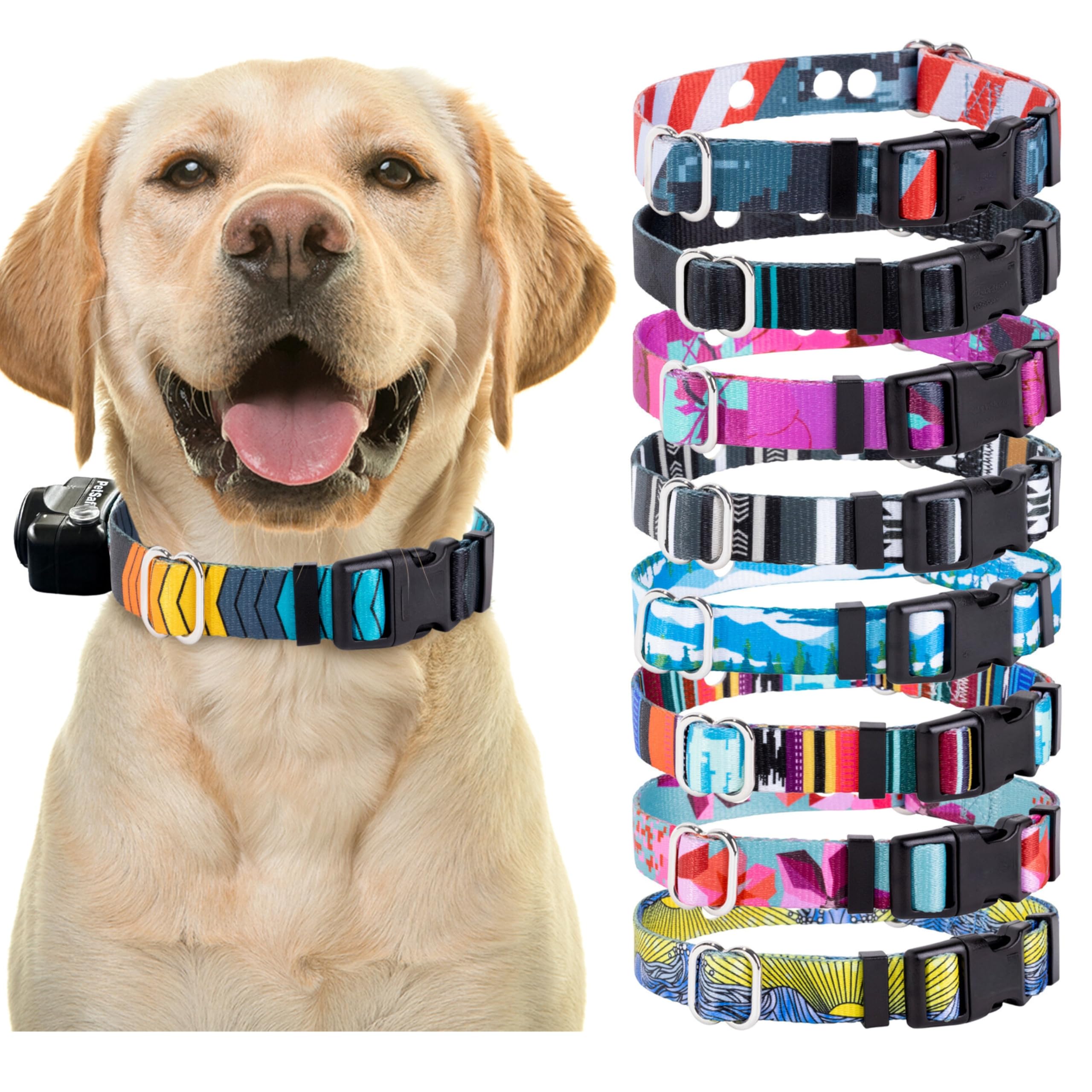 Replacement Strap For E-Collars - Compatible With Petsafe, Invisible Fence, And Other Shock Collars - Medium Size, Summit Design