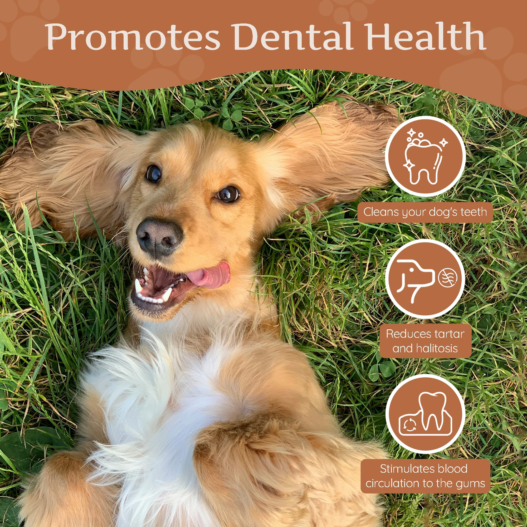 Wildfangcoffee Wood Dog Chew Medium - Natural Chewing Stick For Dogs, Coffee Bone For Dogs Muscle Training, M