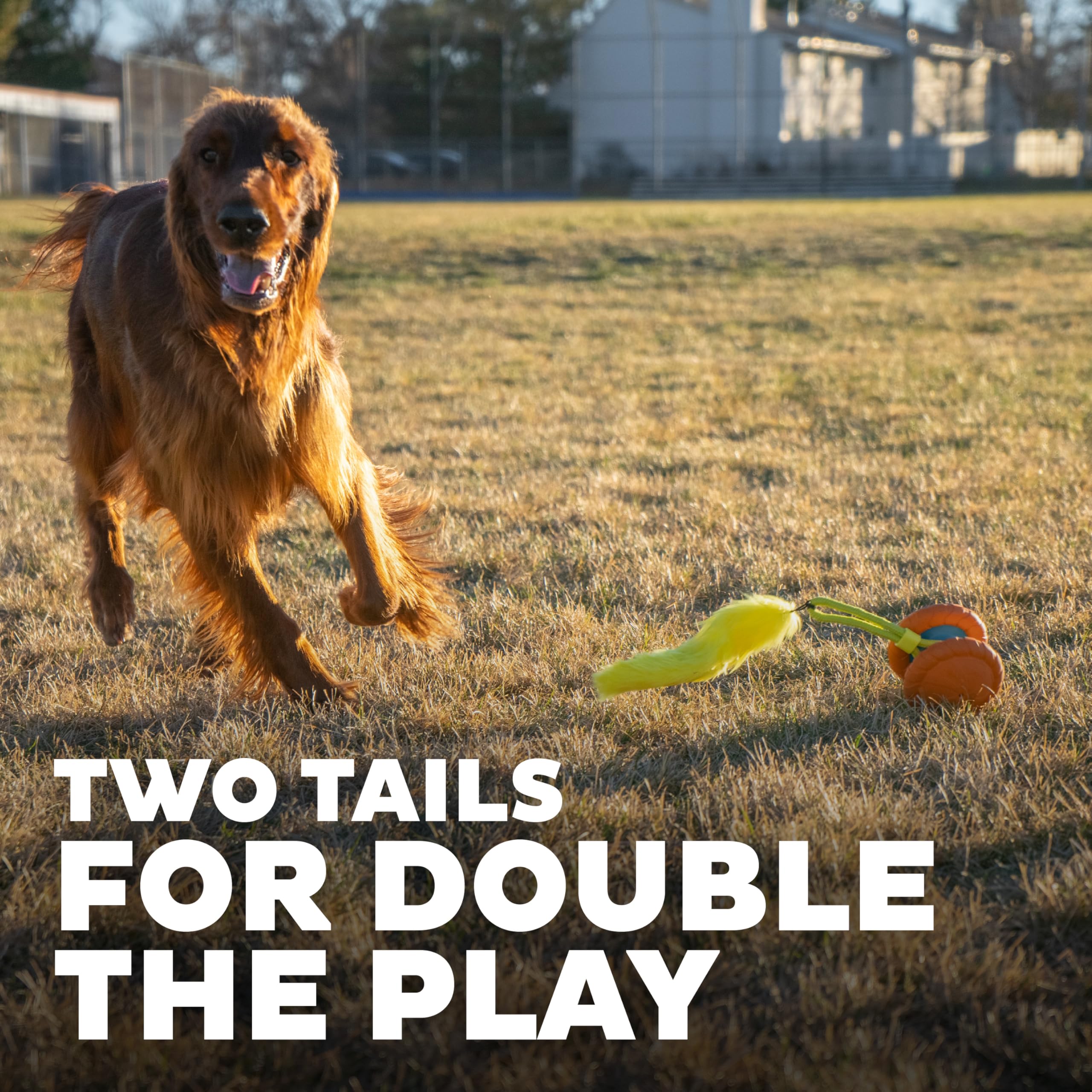 Outward Hound Replacement Tails For Tail Spinner Dog Chase Toy