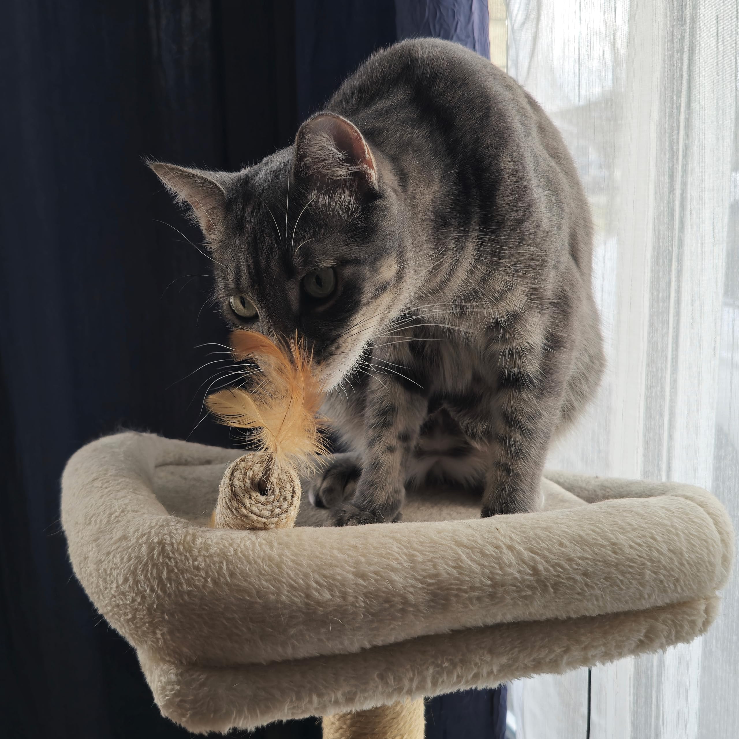 Spot Naturals Silver Vine Cat Toy ?Natural Interactive Enrichment For Cats, Stimulates Play And Reduces Stress, Durable And Safe, Perfect For Indoor Cats And Kittens, Assorted Styles, 1 Piece