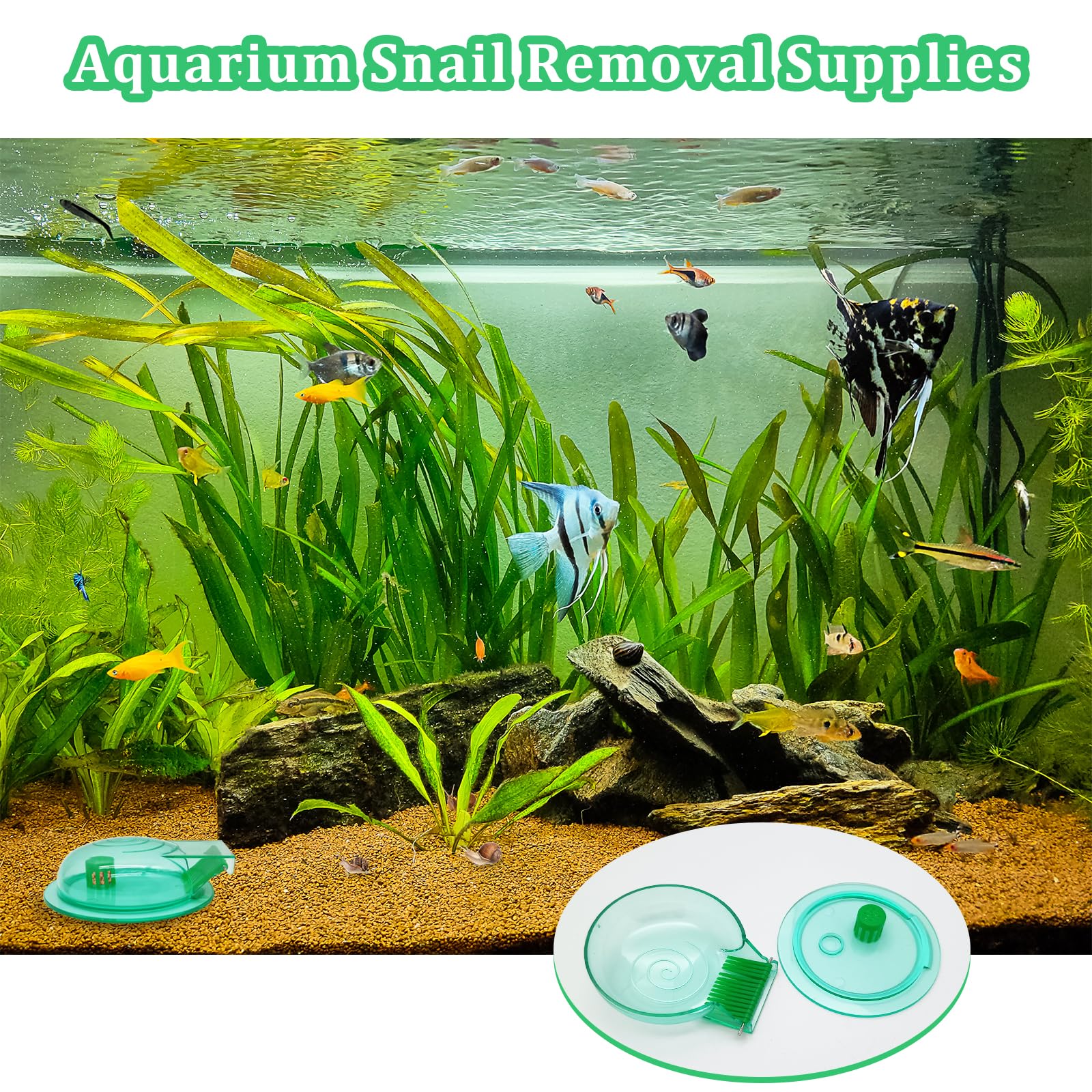 FUATY Aquarium Snail Trap, Plastic Snail Catcher for Freshwater Fish Tank Green Snail Catch Box Snail Removal Supplies Aquarium