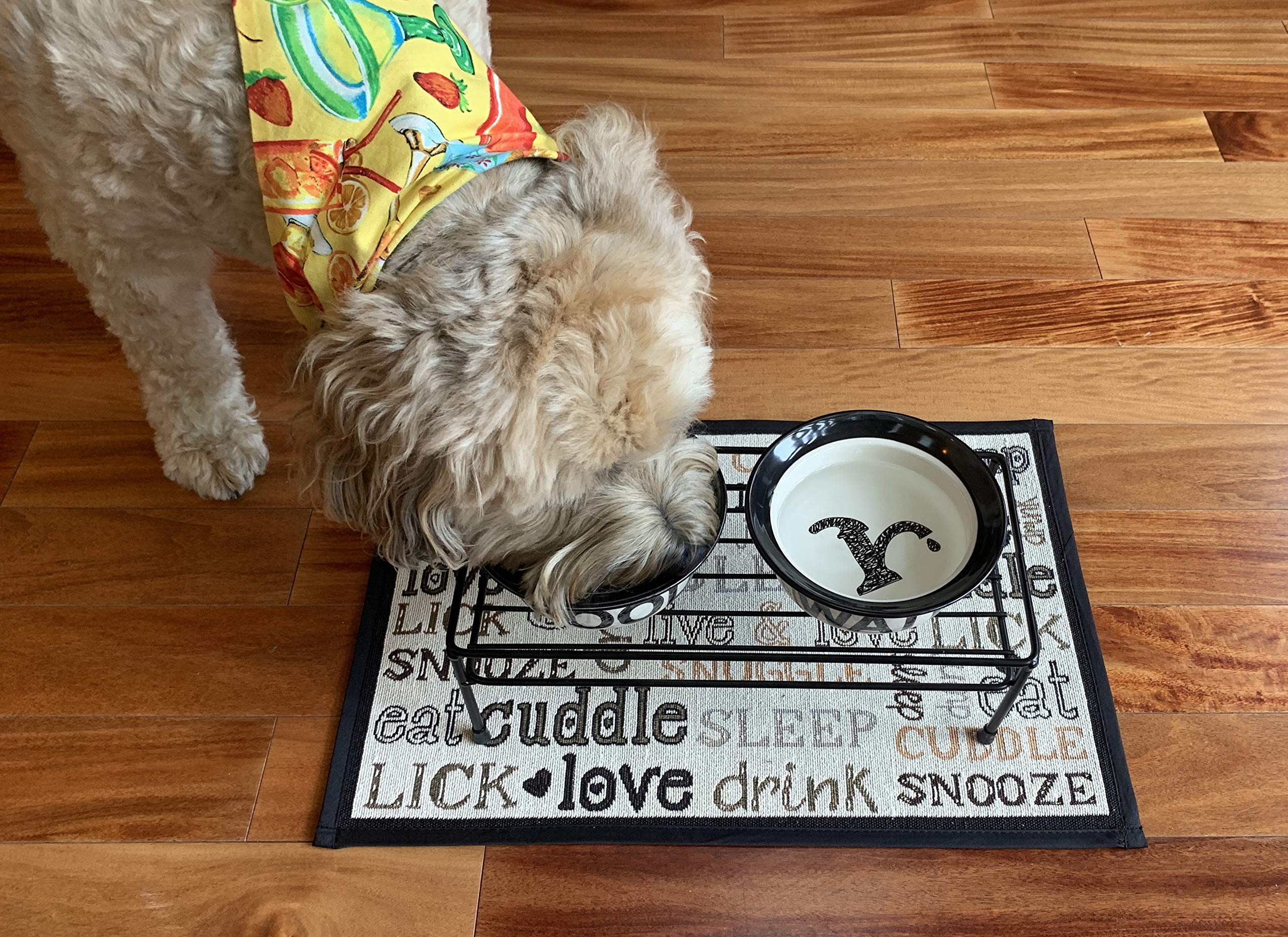 Petrageous 10184 Pooch Basics Stoneware Dog Water Bowl With 2-Cup Capacity 6-Inch Diameter 2.5-Inch Tall For Small Dogs And Medium Dogs Or Cats, Natural