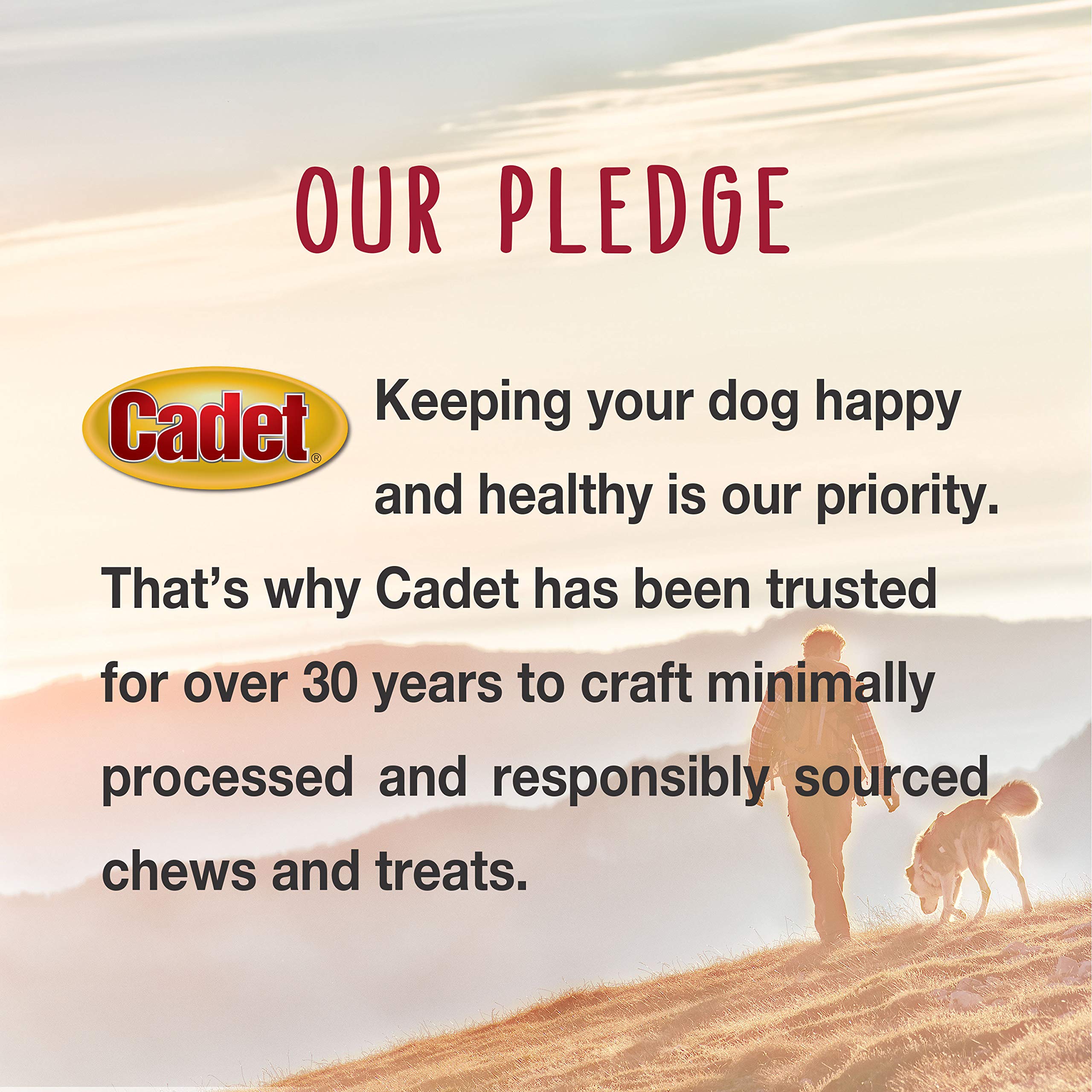 Cadet Gourmet Shish Kabob Dog Treats for Small Dogs, Healthy & Natural Chicken, Duck, & Sweet Potato Chew Sticks, Beef Hide, Sma