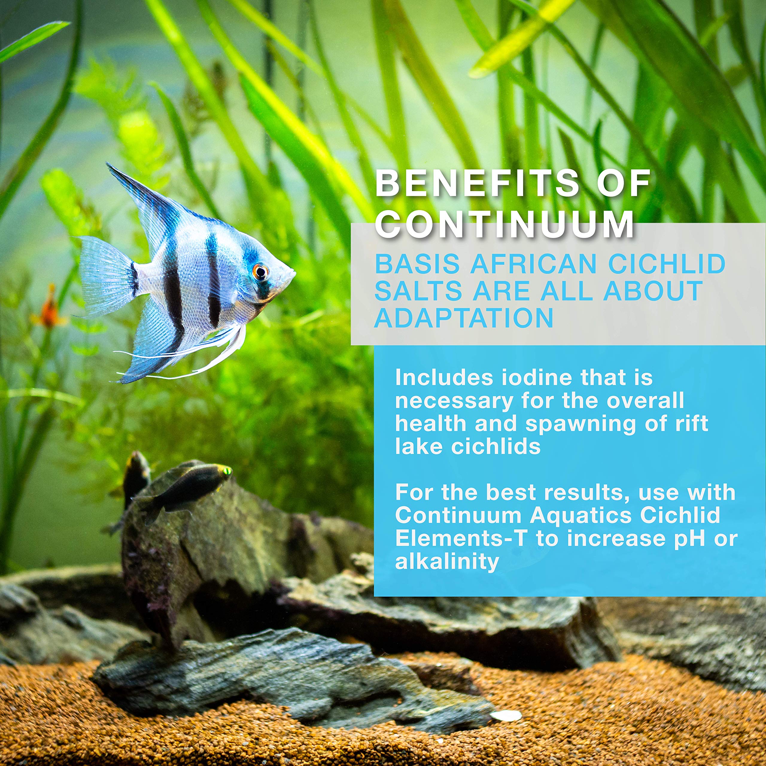 Continuum Aquatics Basis African Cichlid Salts - Professional Blend for Rift Lake Cichlid Aquariums, 500g, Model QACS500