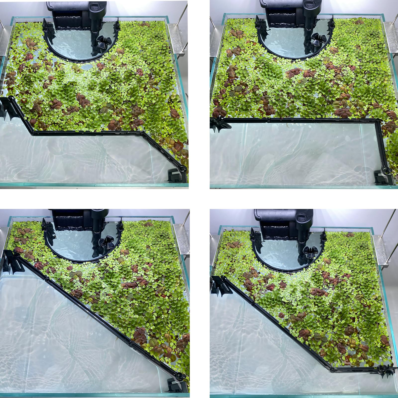 Floating Plant Corral For Aquarium, Fish Tank Accessories To Separate Floating Plants, Automatically Adjusts Height With Water L