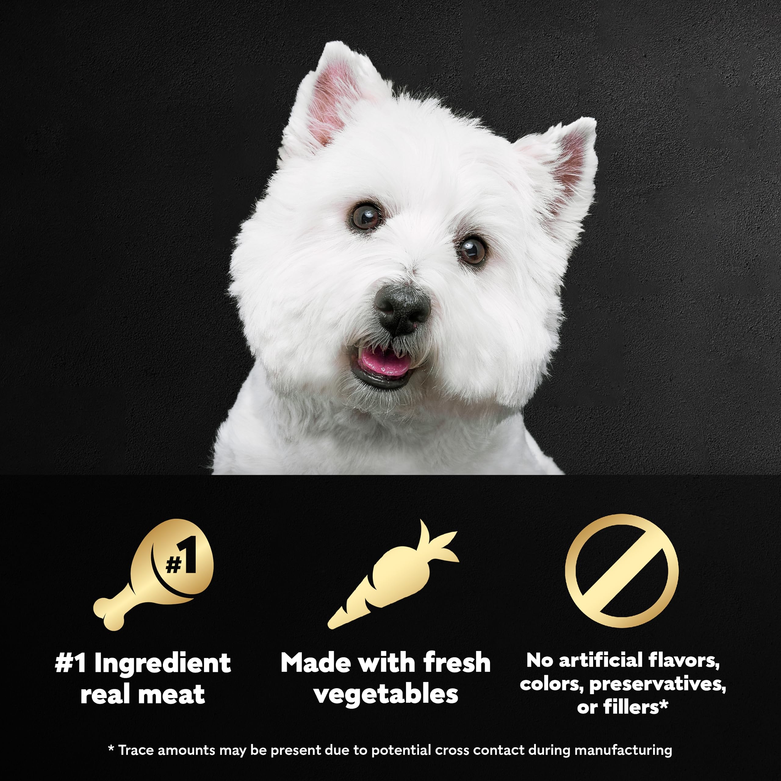 Cesar Wholesome Bowls Adult Wet Dog Food, Chicken, Carrots, Barley & Green Beans Recipe and Beef, Chicken, Purple Potatoes & Car
