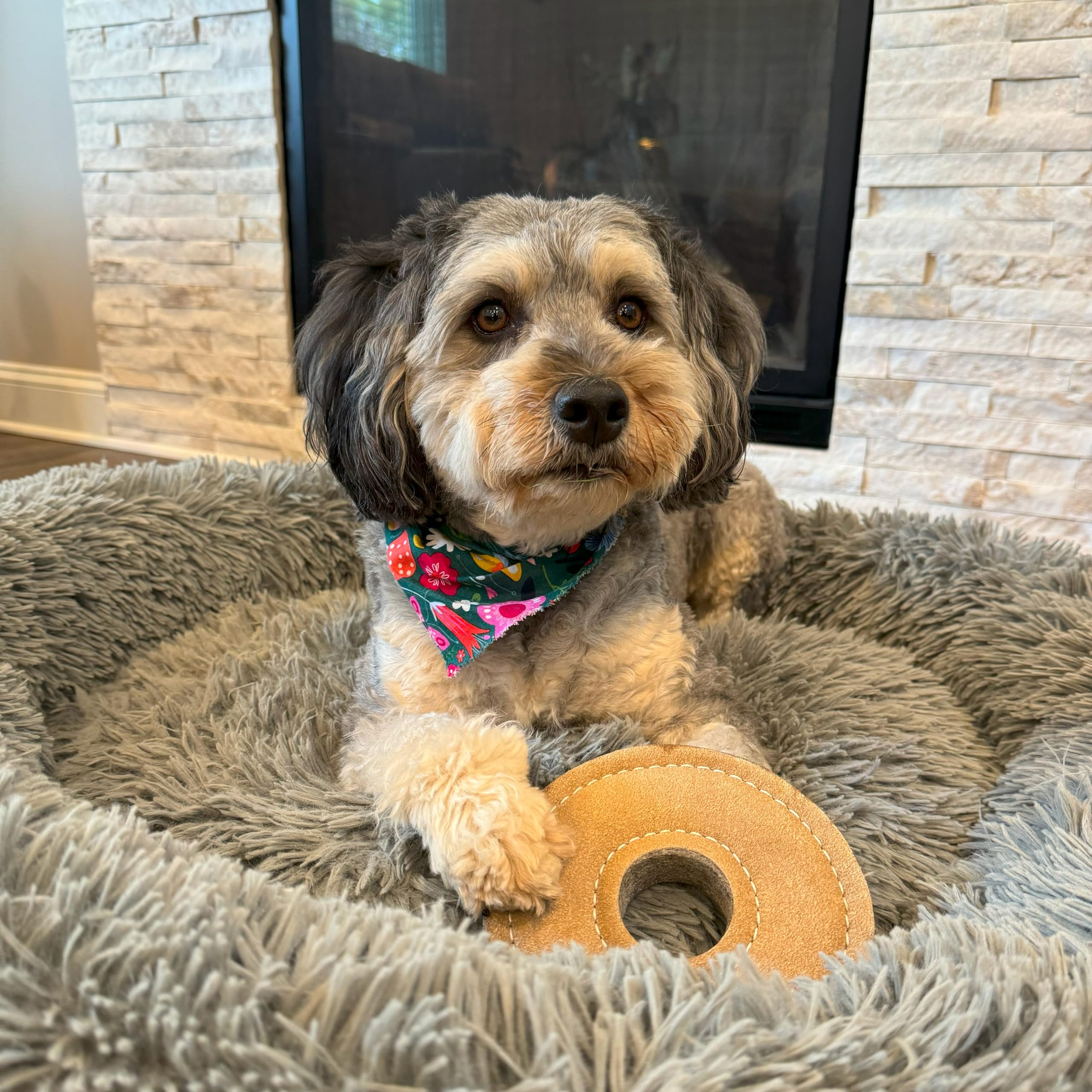 Spot Dura-Fused Chunkies Ring - All Natural Leather And Felt Dog Toy - No Squeak, No Fluff, Durable, Extra Thick Dog Chew Toy For Aggressive Chewers, Great For Adult Dogs And Teething Puppies, 6In