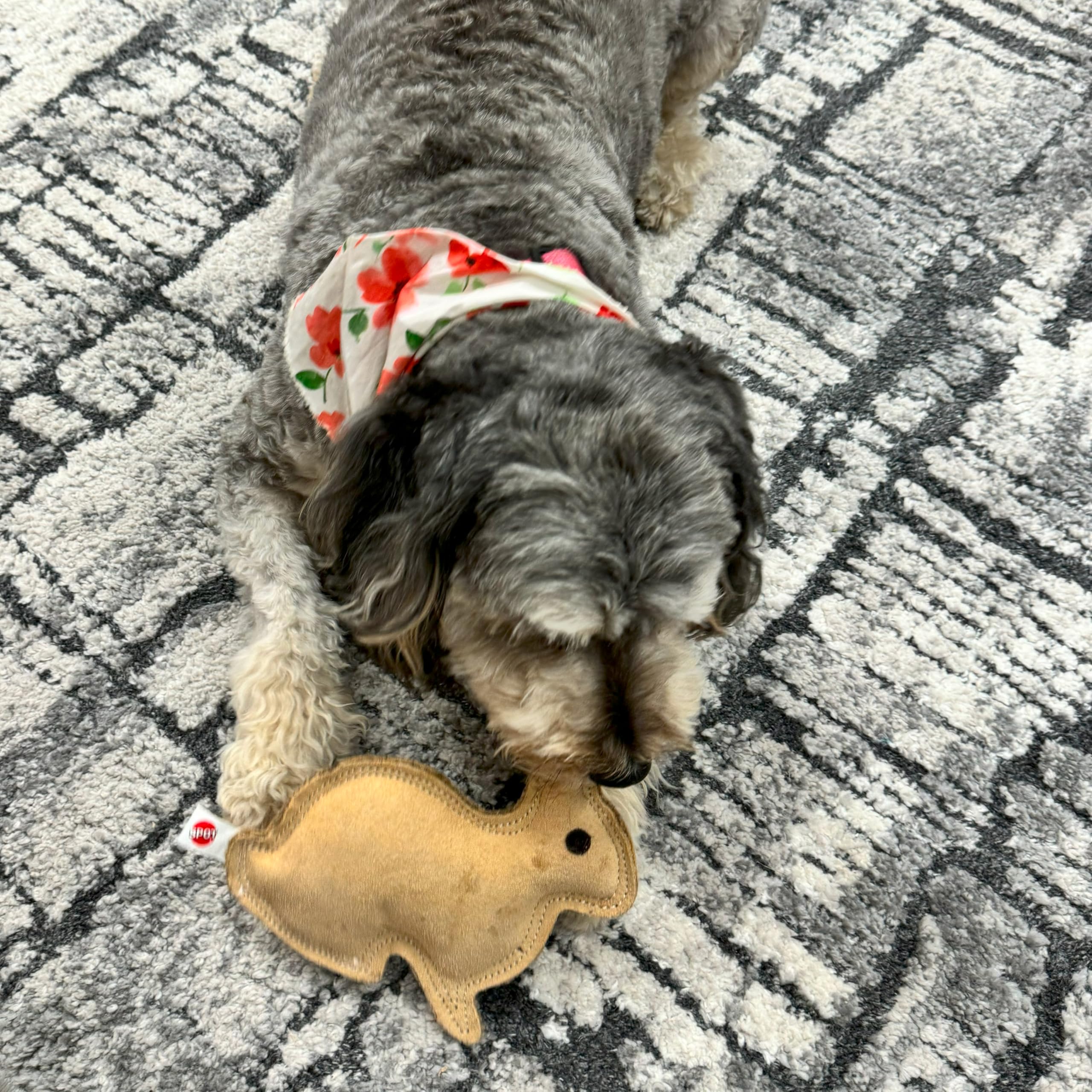 SPOT Dura-Fused Leather Rabbit - Durable Dog Toy with Squeaker, Real Leather & Jute Fabric, Interactive Toy for Moderate & Aggre