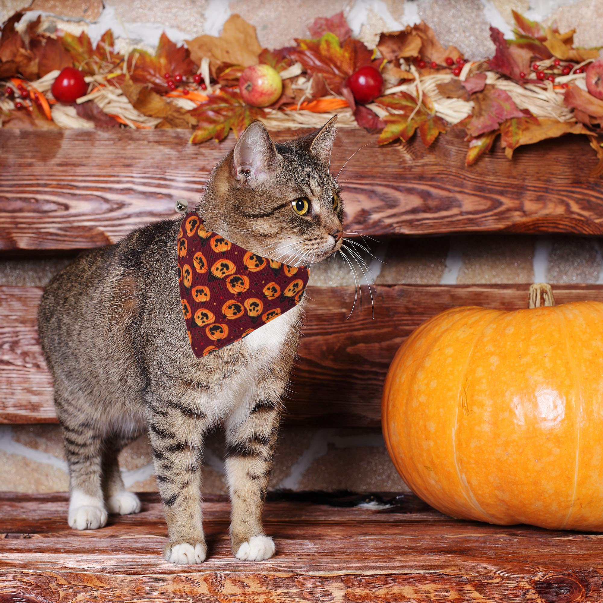 Adoggygo Halloween Cat Collars Breakaway With Removable Bandana, 2 Pack Adjustable Cat Collar Pumpkin Pattern Cat Bandana Collar For Kittens Cat (Halloween-1)