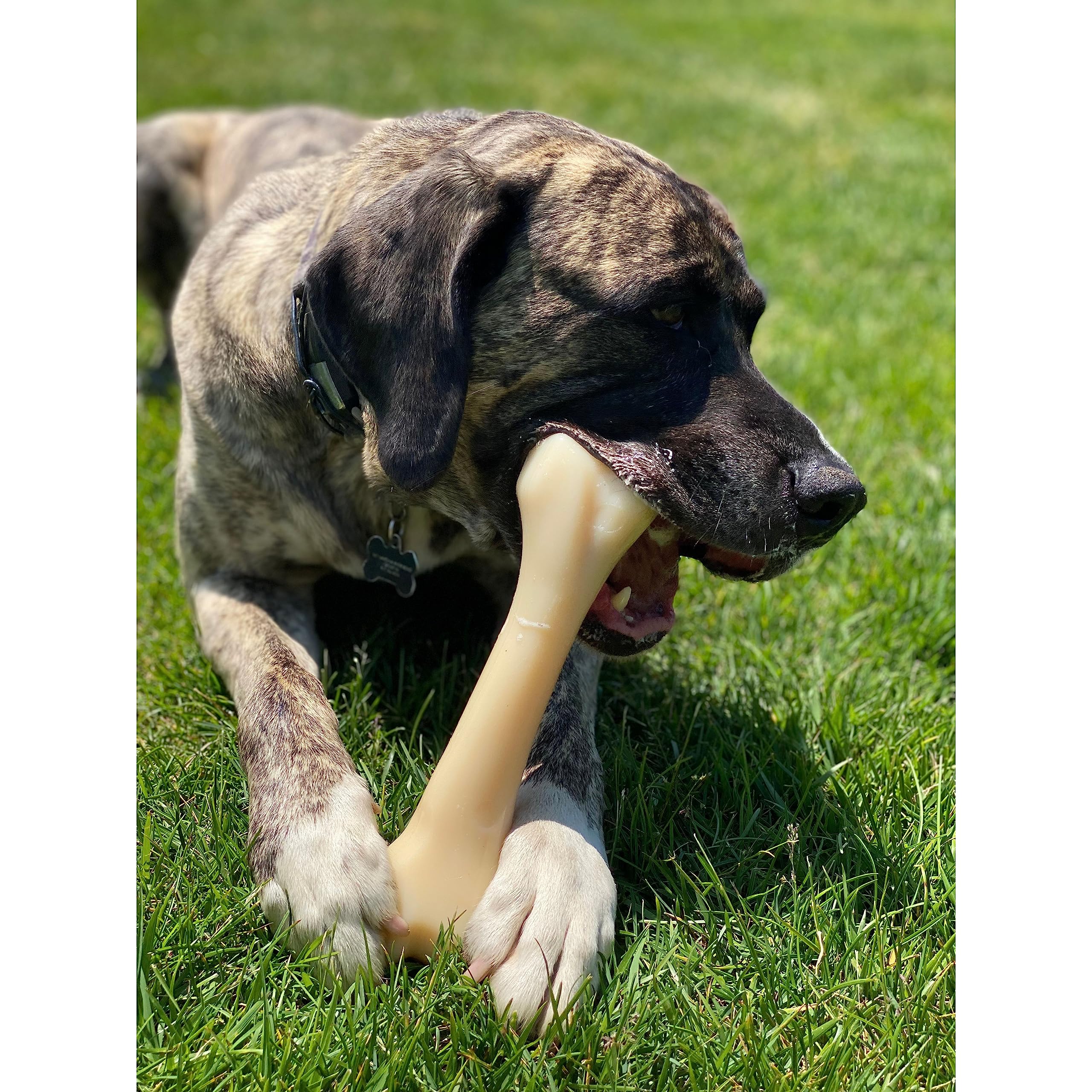 Nylabone Power Chew Monster Bone Big Dog Chew Toy, Dog Toys For Aggressive Chewers, Chicken Flavor, Xx-Large/Monster (1 Count)