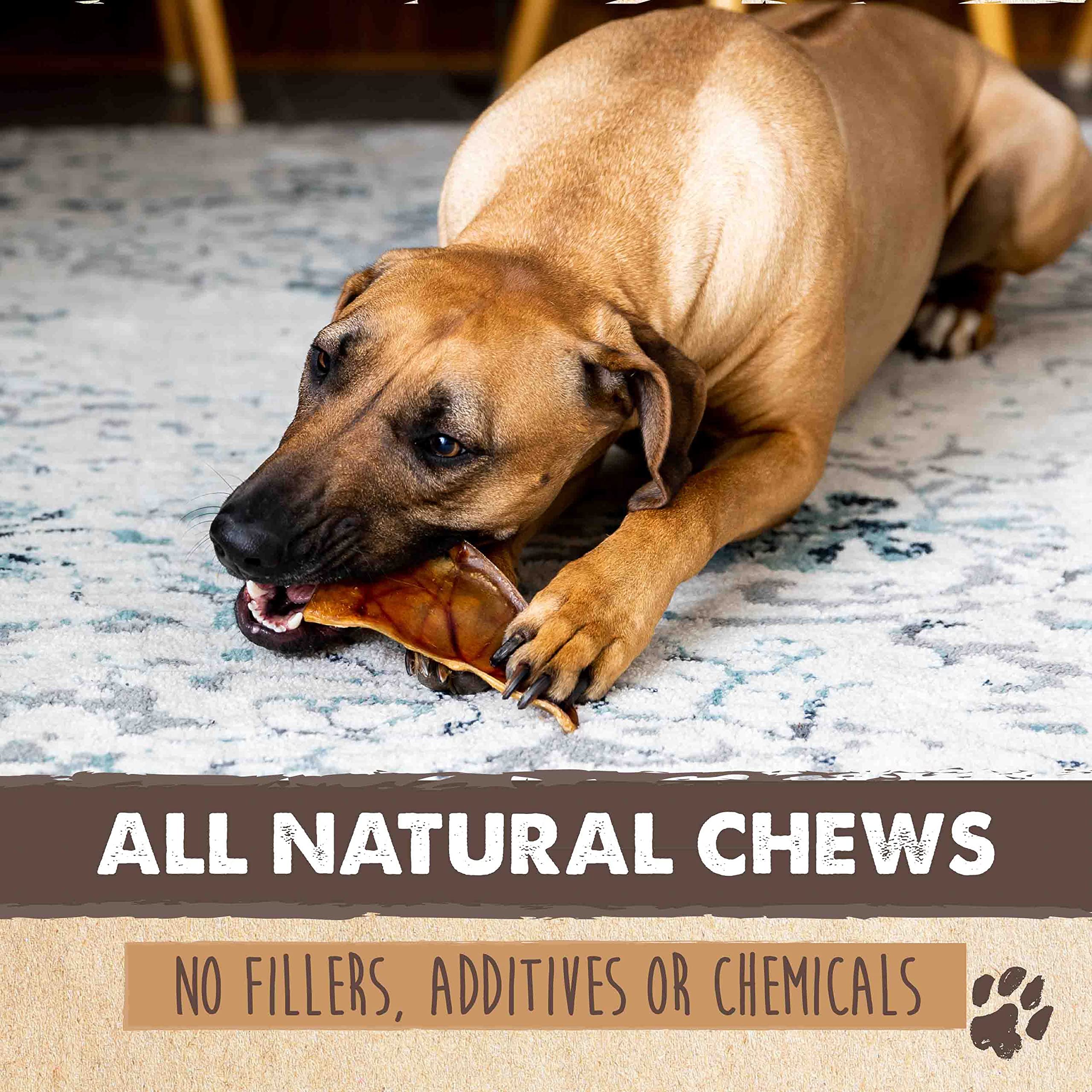 Mighty Paw Full Pig Ears for Dogs | All Natural Treats. Single Ingredient Pet Treat. Better Than Rawhide Dog Snacks for Puppy &