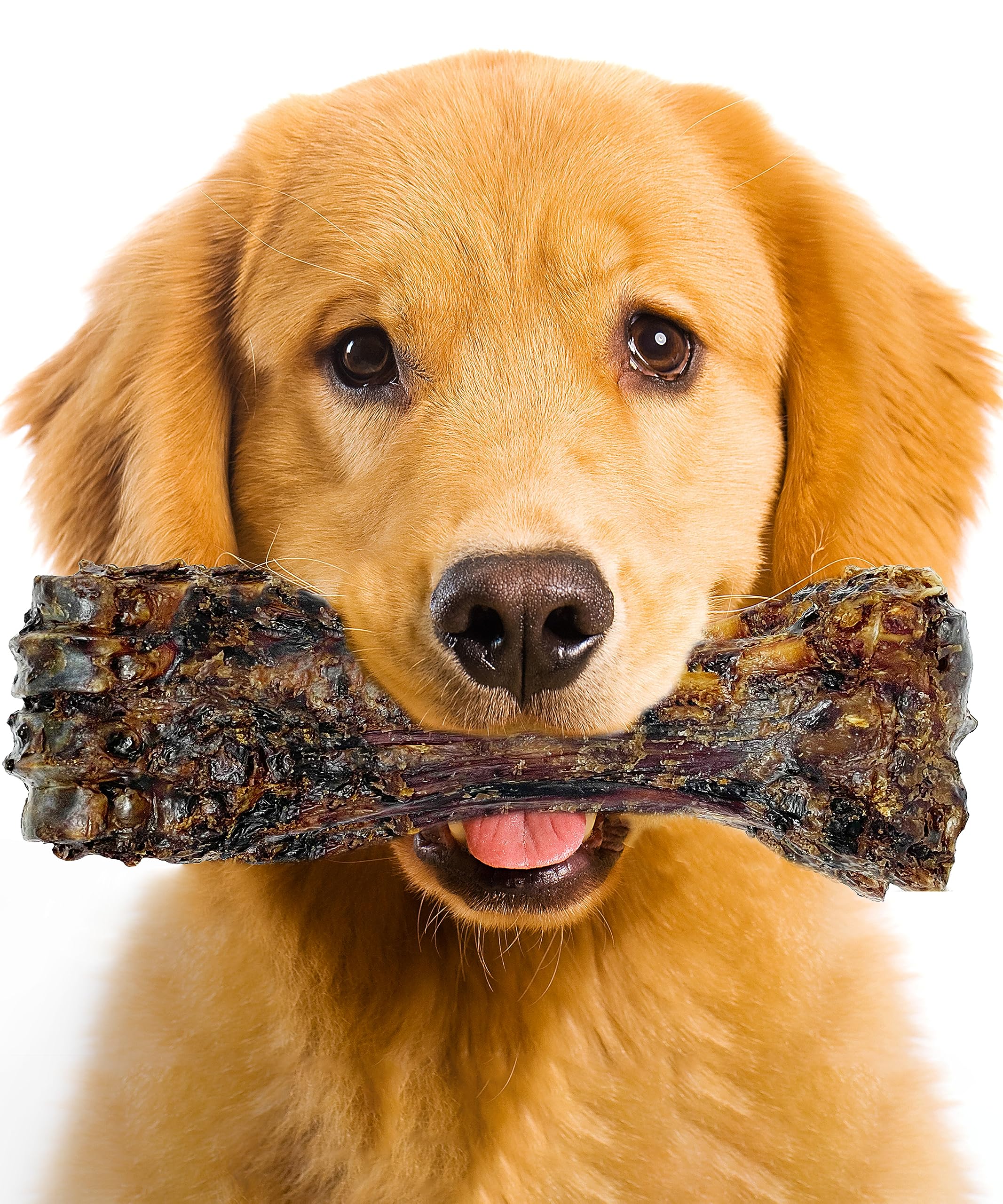 Large Dog Bones Long Lasting, Liver Coated Dog Bones for Aggressive Chewers, Natural Treats for Large Dogs, Healthy Beef Shin Ch
