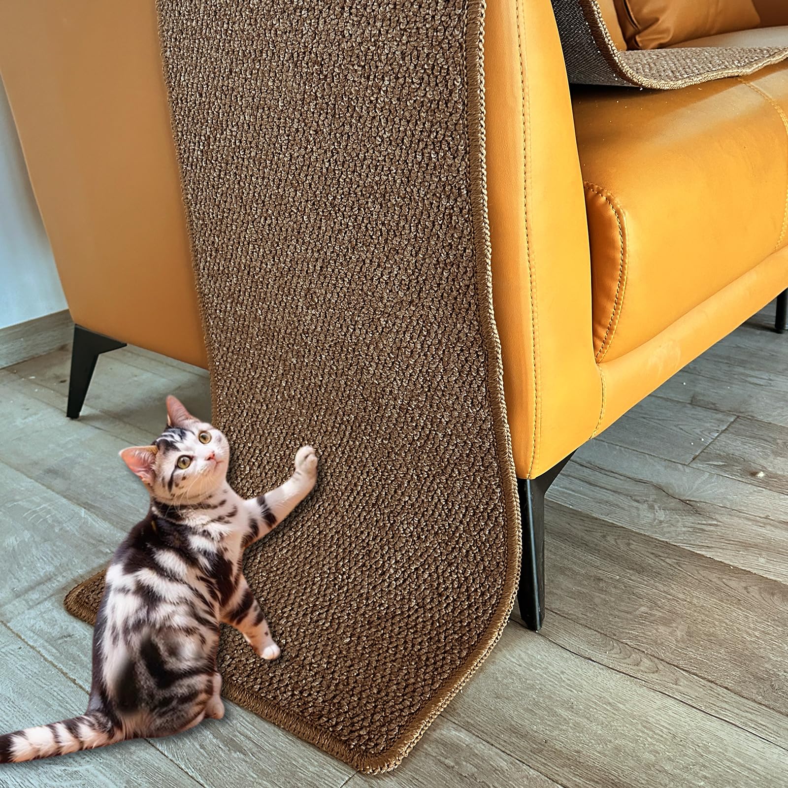 Rainmae 70.9''X 15.7'' Thickened Extra Large Cat Wall Climbing Carpet With 10Pcs Fixed Nails, Durable Cat Wall Furniture, Wa