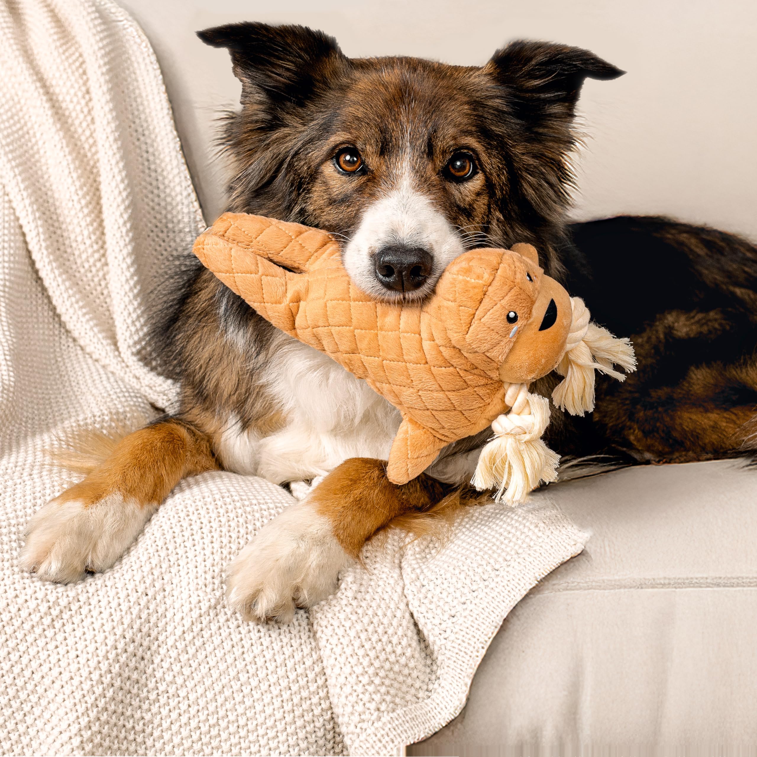 Grrreen Arctic Collection Dog Toys | Jumbo Sized Walter The Walrus | Cute, Durable, & Sustainable Plush Chew Toys For Dogs 50 Lb