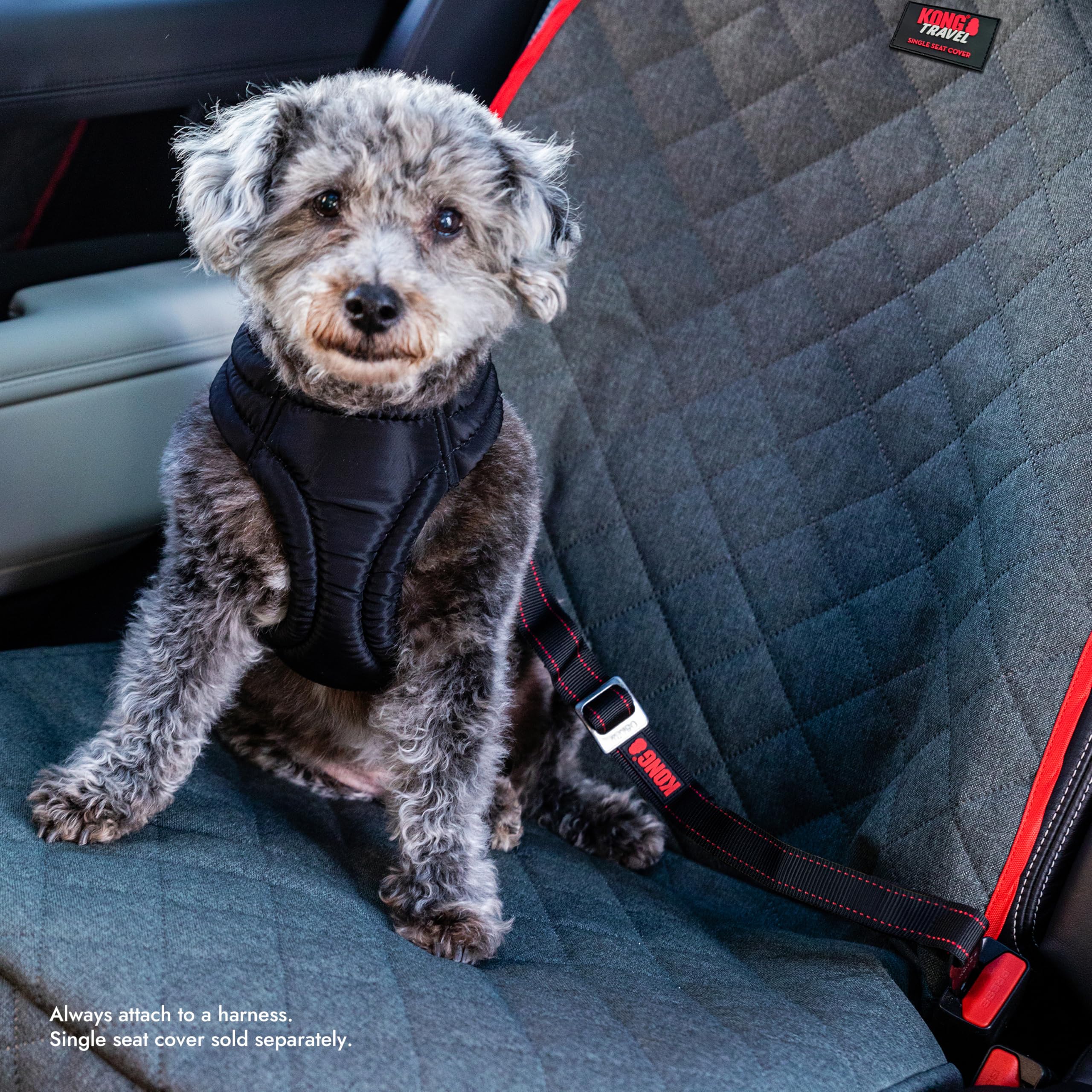 KONG Dog Seat Belt Tether - Attaches to Harness for Safe Travel & Car Rides