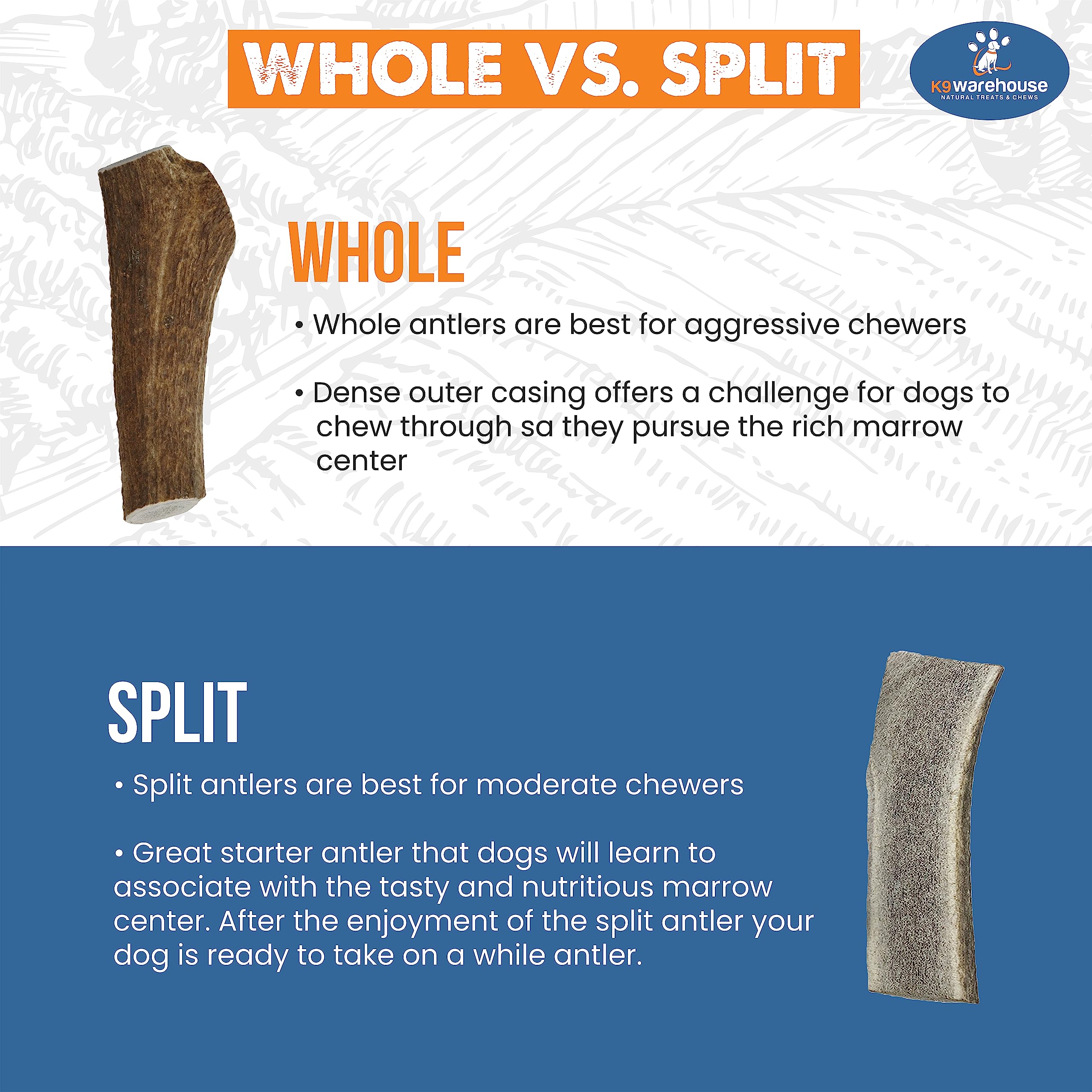 K9warehouse Natural Elk Antlers for Dogs - Premium Grade Dog Antler Chews - Long-Lasting Whole Deer Antles Ideal for Aggressive