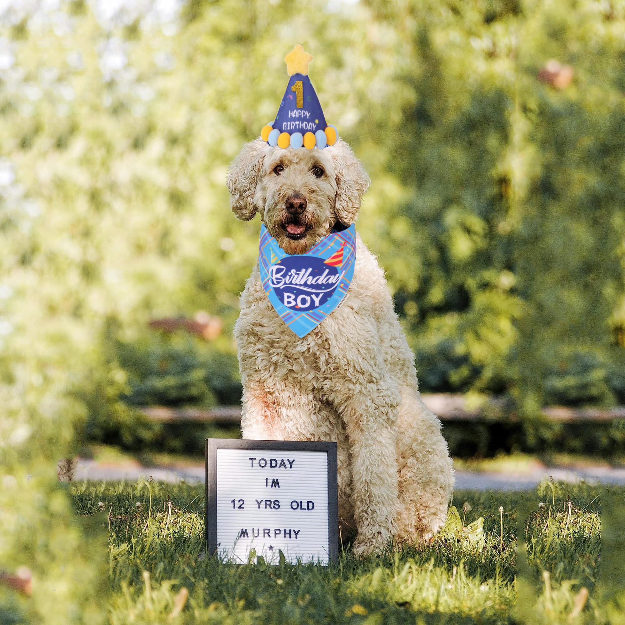 Adoggygo Dog Birthday Party Supplies, Blue Birthday Boy Bandana, Bowtie, Numbers, Party Hat For For Medium Large Dogs (Large)