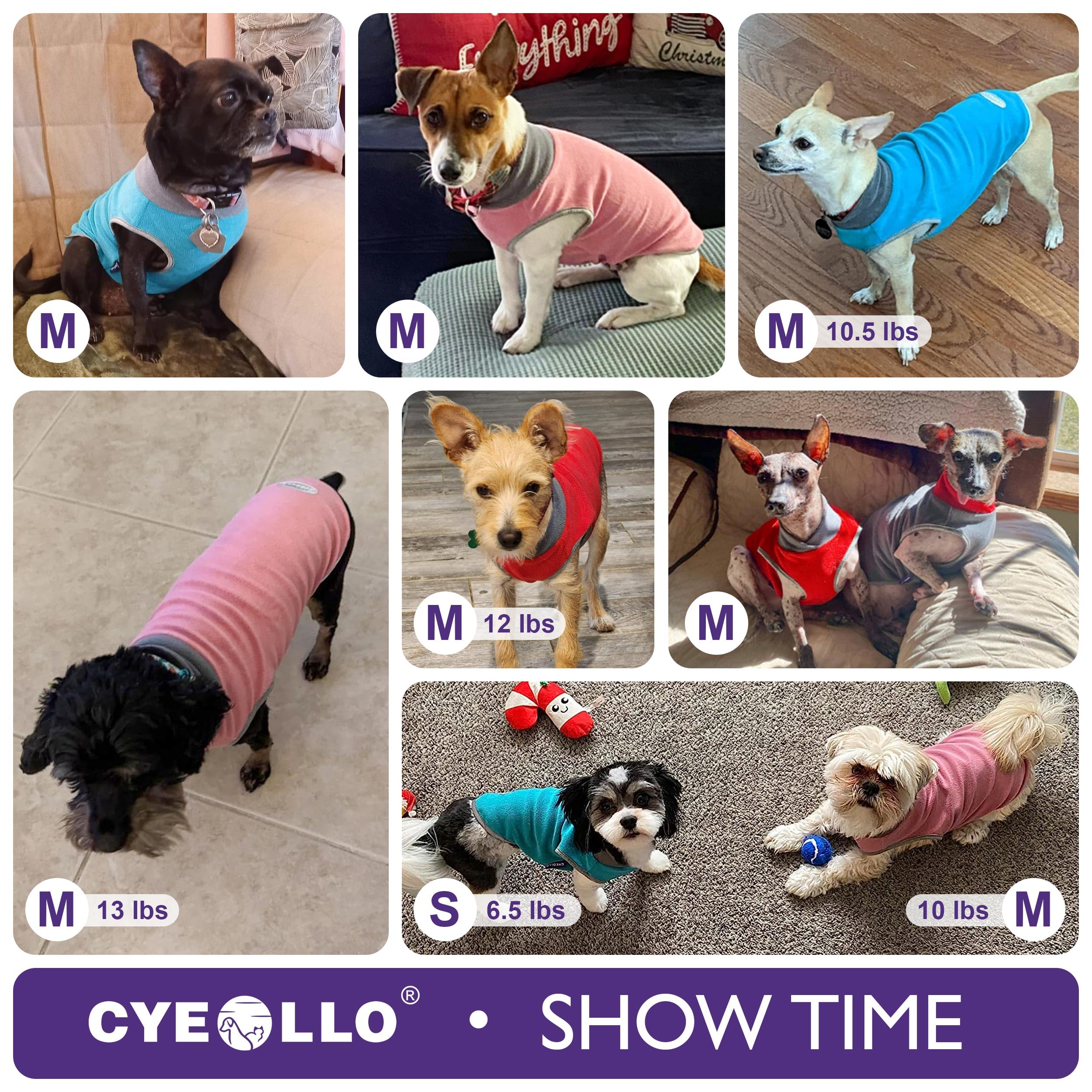 Cyeollo 2 Pack Fleece Dog Sweater With Reflective Stripe Pullover Sweatshirt Stretchy Lightweight Sweaters Dog Clothes Coats For Small Dogs Size M Pink & Grey