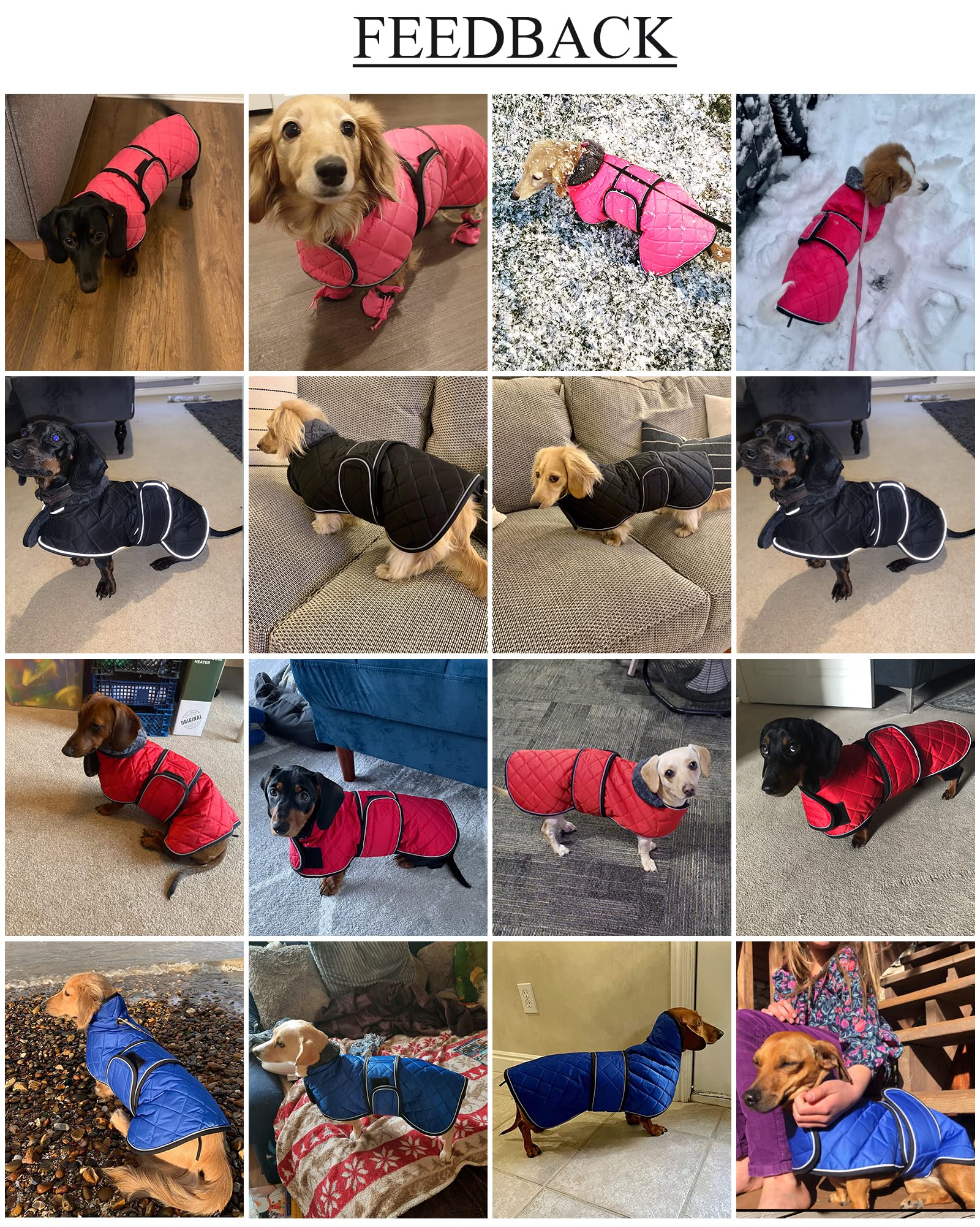 Warm Thermal Quilted Dachshund Coat, Dog Winter Coat With Warm Fleece Lining, Outdoor Dog Apparel With Adjustable Bands For Medium, Large Dog-Red-L